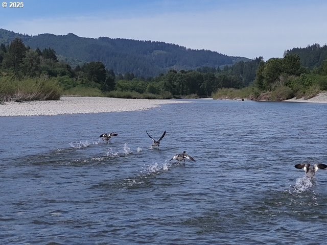 Brookings, Oregon, 97415, United States, 1 Bedroom Bedrooms, ,1 BathroomBathrooms,Residential,For Sale,1979383