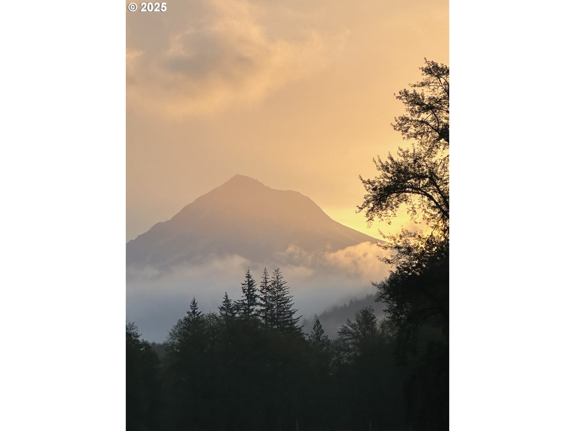 Sandy, Oregon, 97055, United States, 4 Bedrooms Bedrooms, ,3 BathroomsBathrooms,Residential,For Sale,1937237