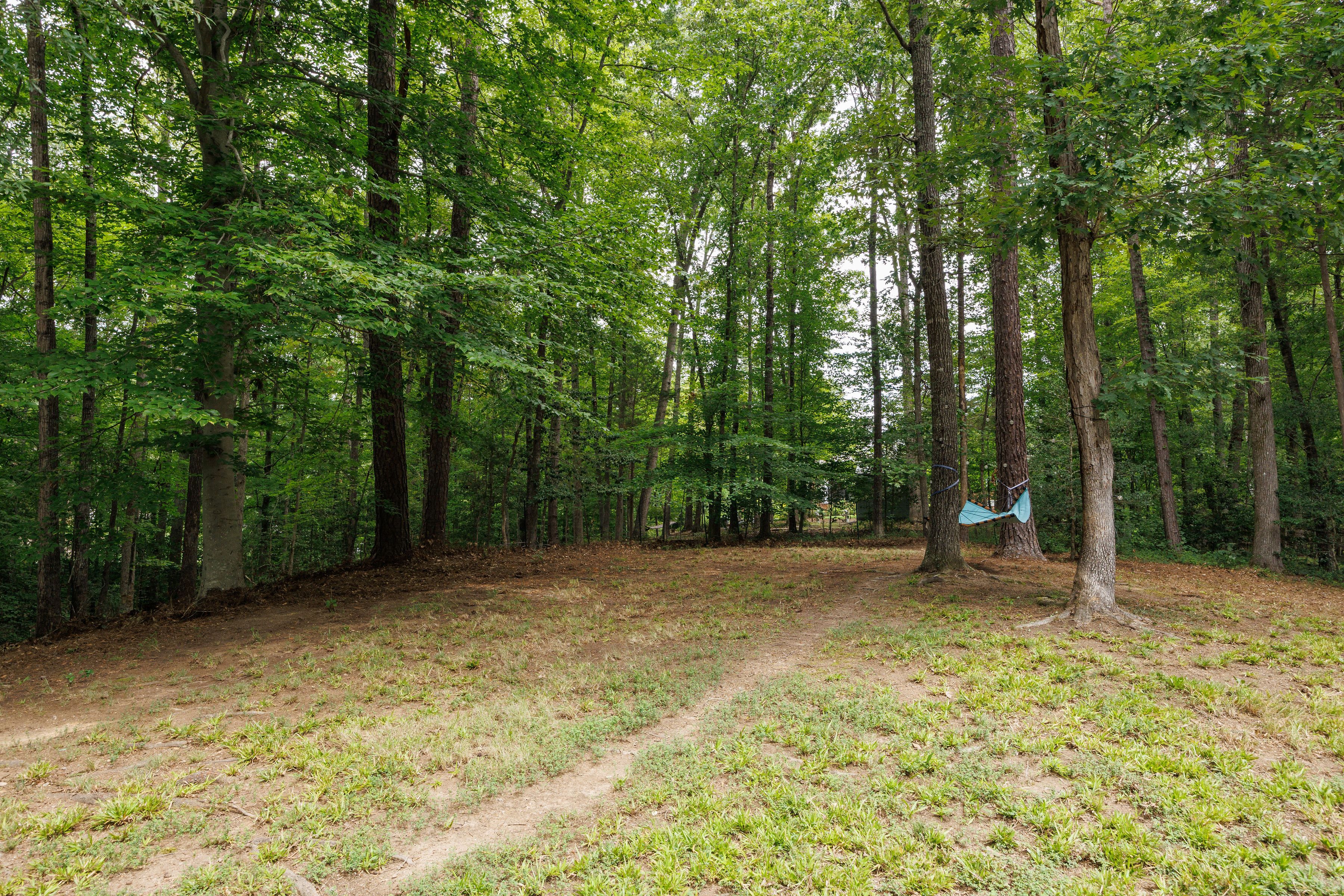  602 Red Maple Drive, Manakin-Sabot, VA 23103 - 物件實景