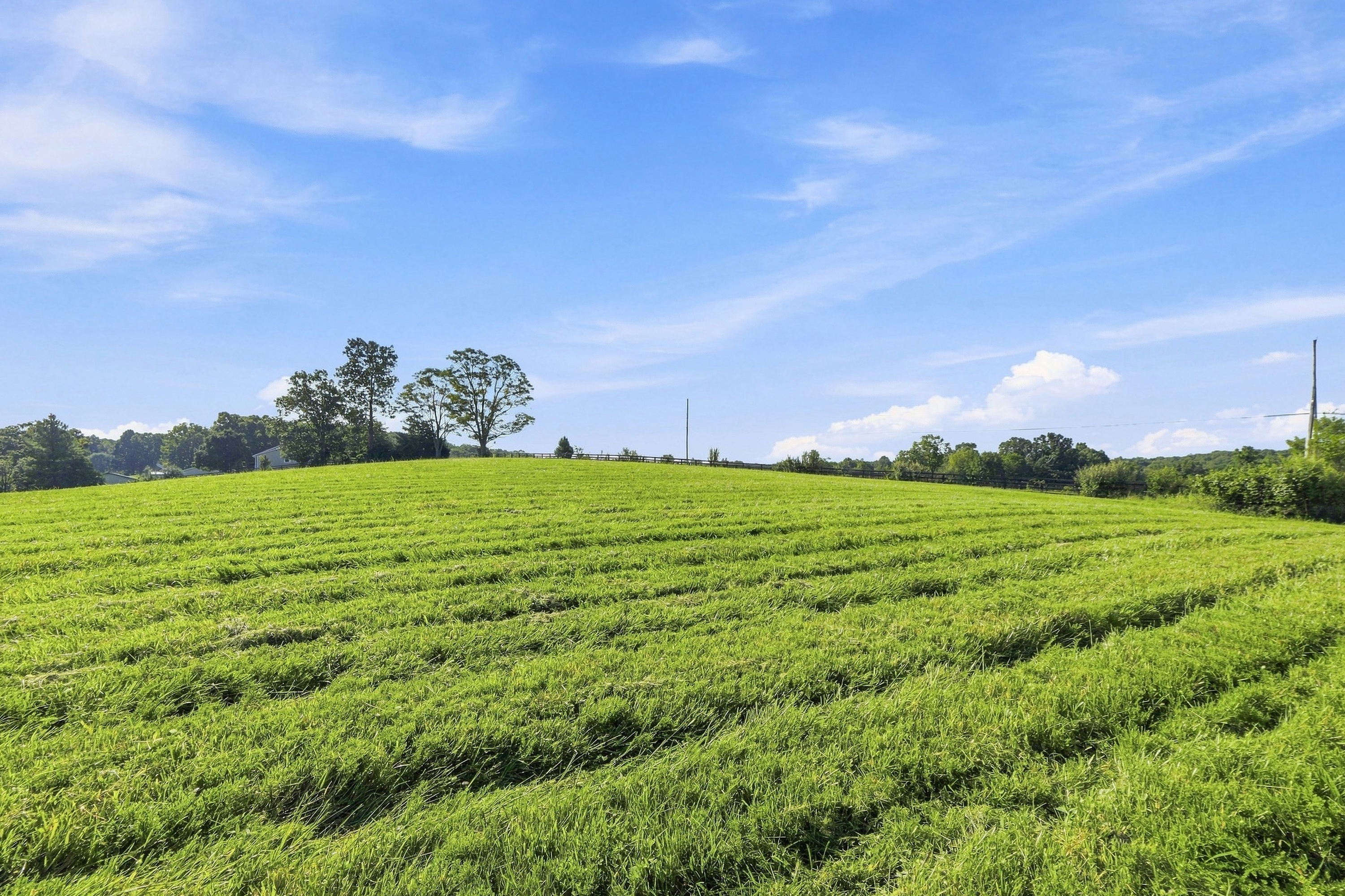 Tract 2 Ballard School Road, La Grange, KY 40031 - 物件實景