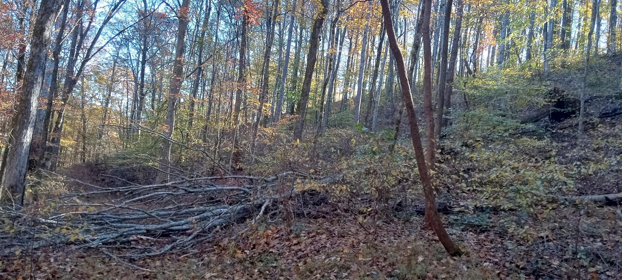 Willow Shade, Kentucky, 42166, United States, 3 Bedrooms Bedrooms, ,2 BathroomsBathrooms,Residential,For Sale,1991903