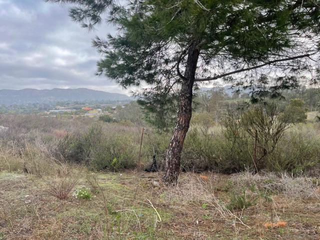 Jamul, California, 91935, United States, ,Land,For Sale,1974125