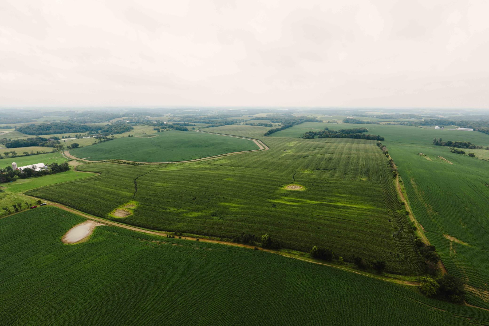 Lonsdale, Minnesota, 55046, United States, ,Residential,For Sale,1979816