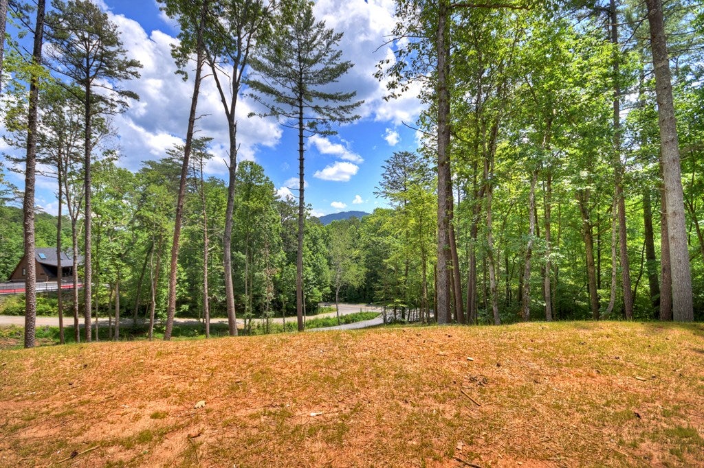 Mineral Bluff, Georgia, 30559, United States, 3 Bedrooms Bedrooms, ,3 BathroomsBathrooms,Residential,For Sale,2007594