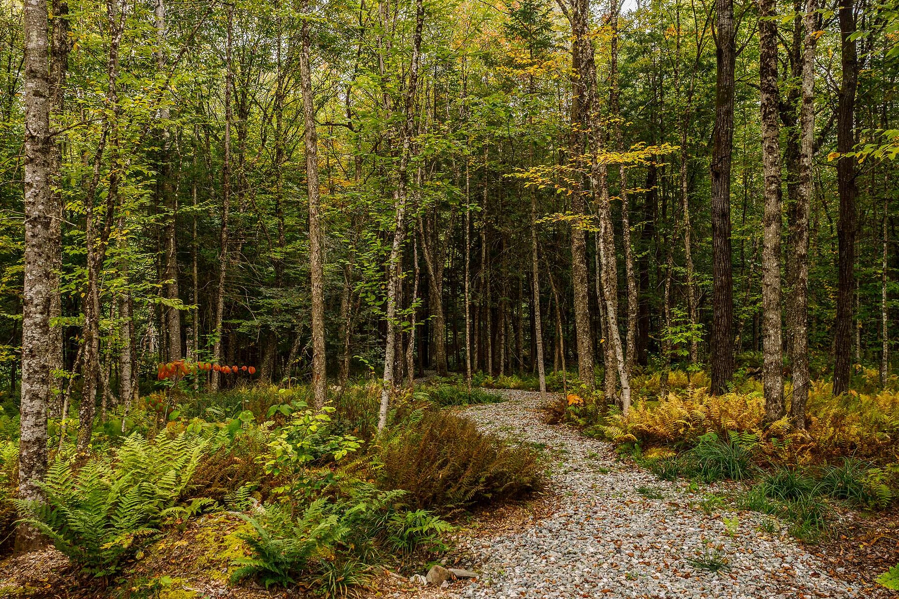  Eastman, Eastern Townships - 物件實景