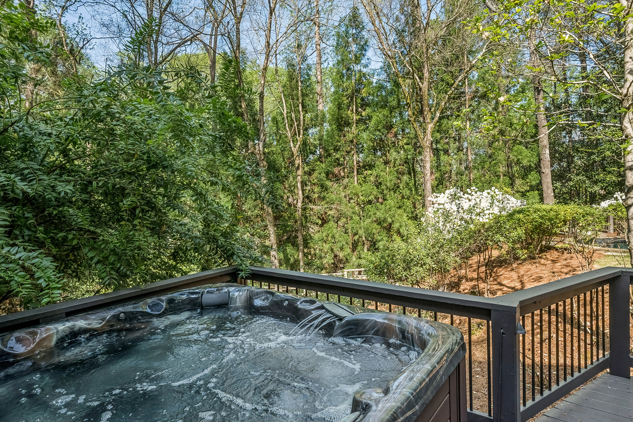  Extraordinary Contemporary Retreat Overlooking the Chattahoochee River - 物件實景