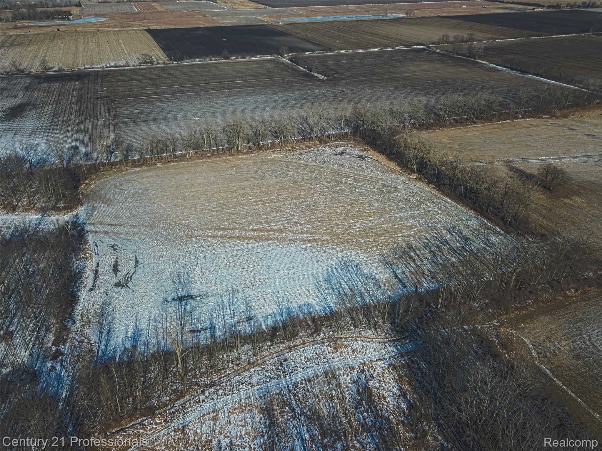 Allenton, Michigan, 48002, United States, ,Land,For Sale,2005933