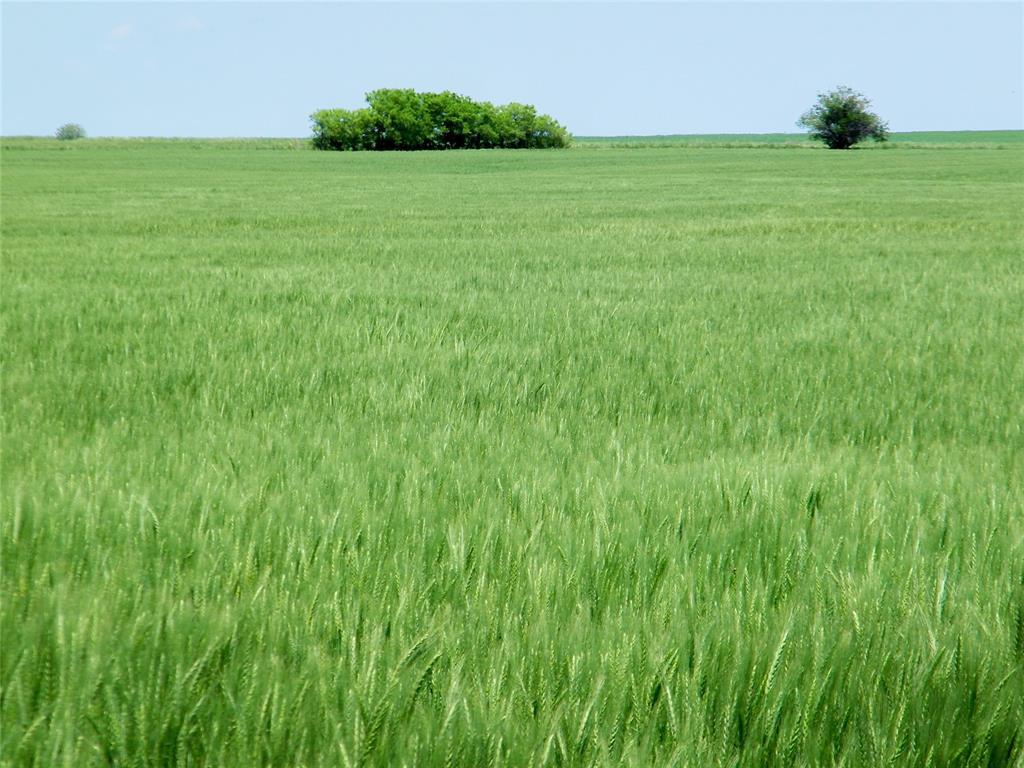 Kingfisher, Oklahoma, 73750, United States, ,Residential,For Sale,1982828