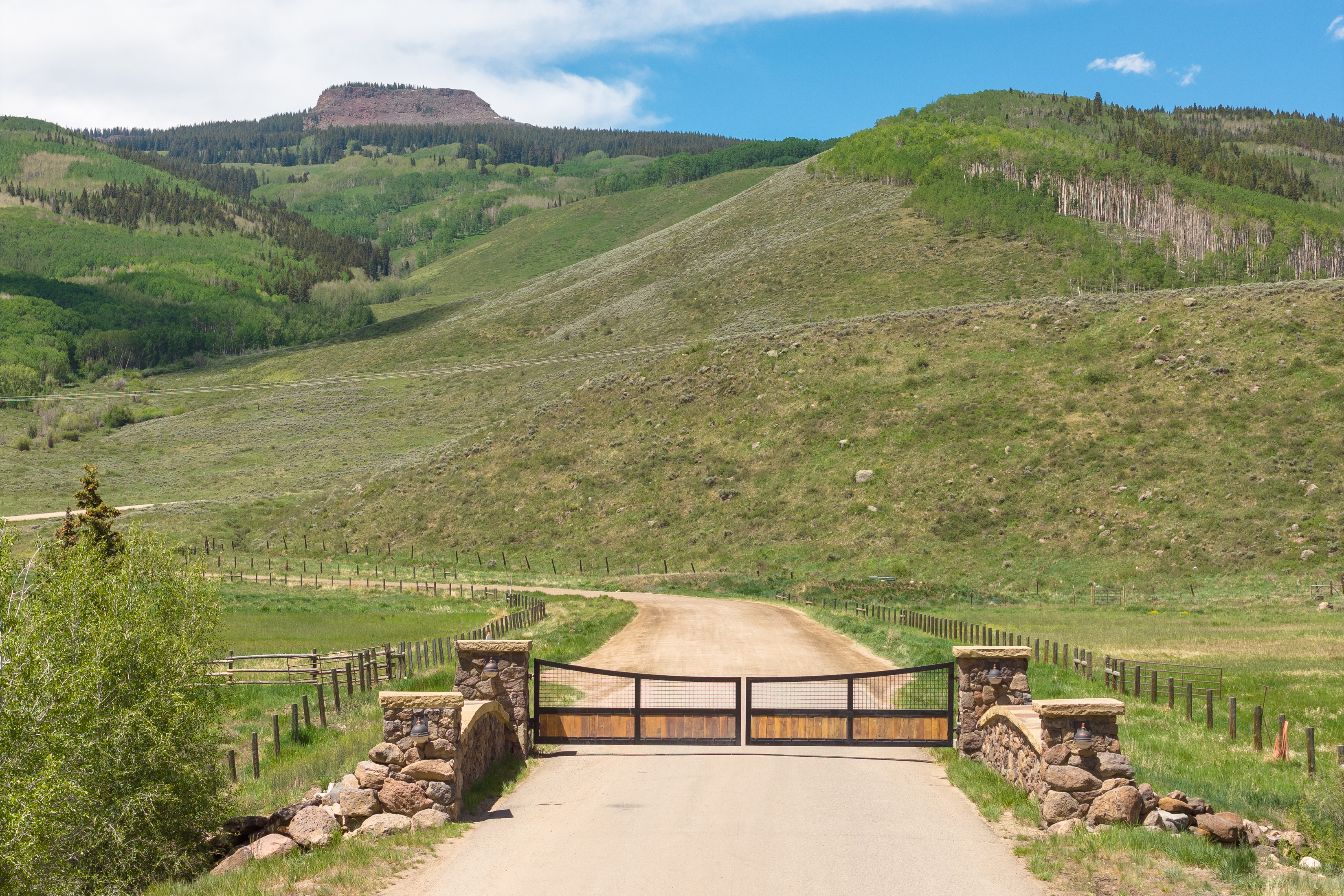  141 White Buffalo Trail, Crested Butte, CO, 81224 - 物件實景