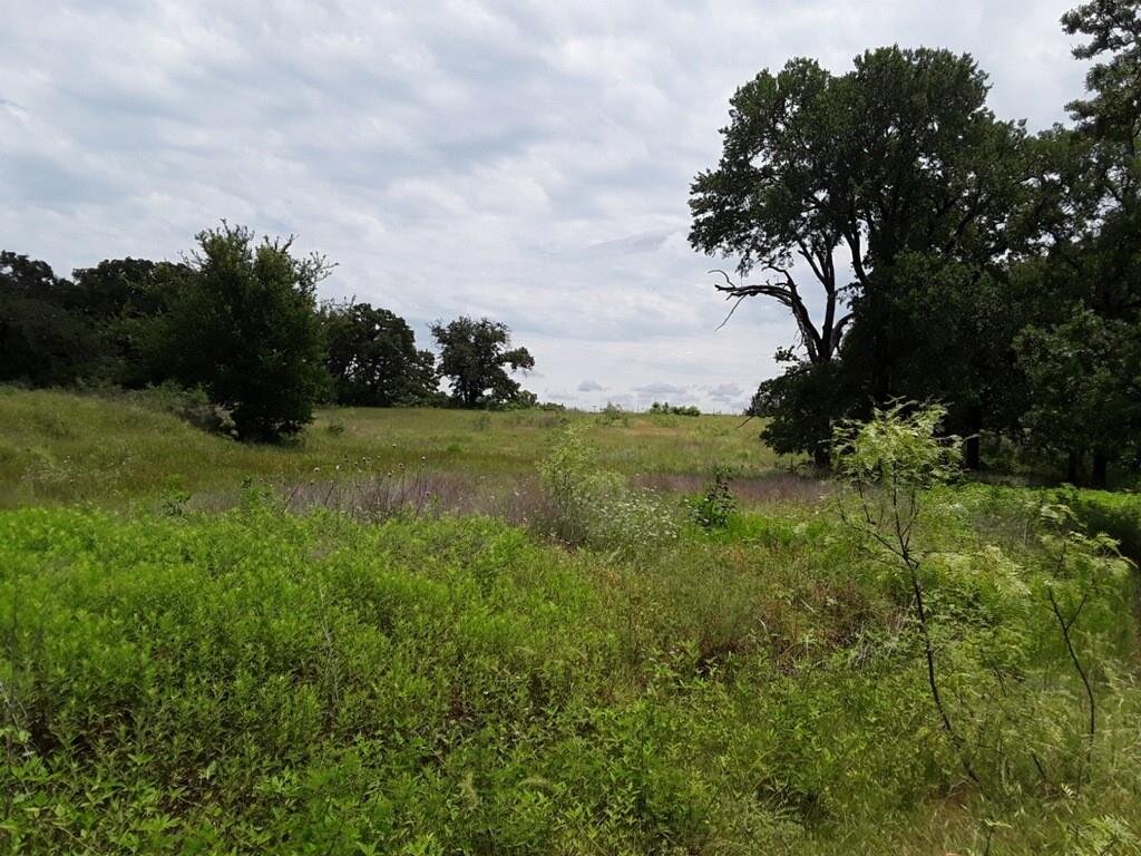 Mansfield, Texas, 76063, United States, 4 Bedrooms Bedrooms, ,2 BathroomsBathrooms,Residential,For Sale,1951399