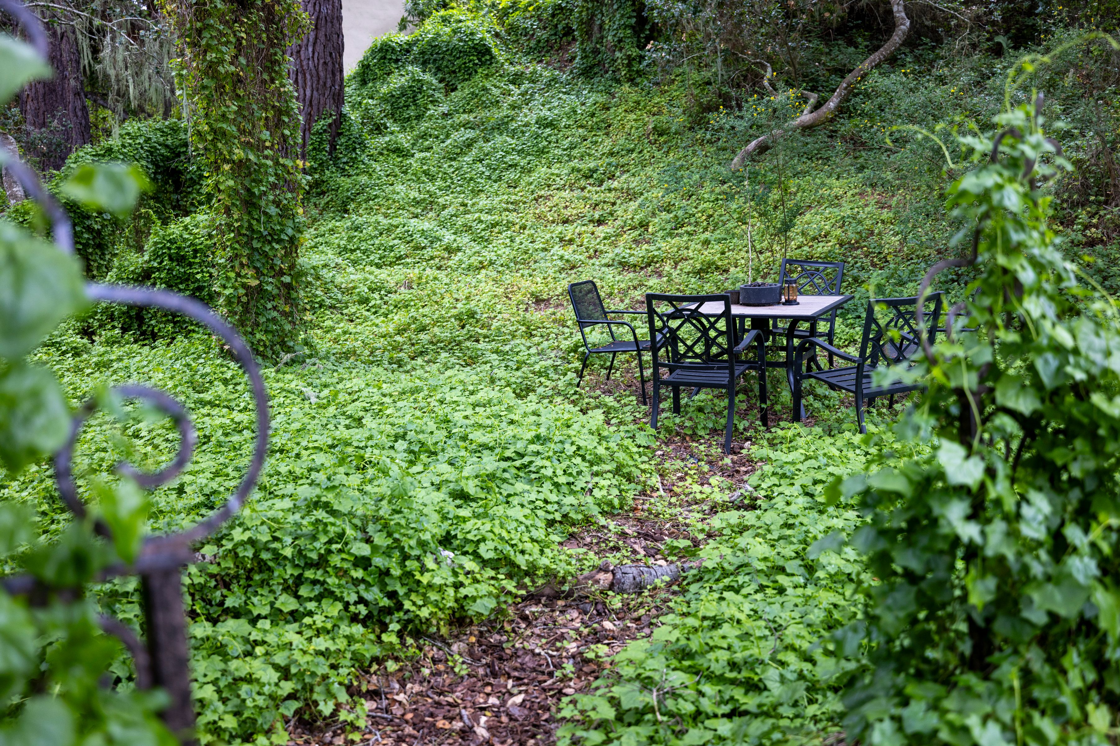  25193 Flanders Drive, Carmel - 物件實景