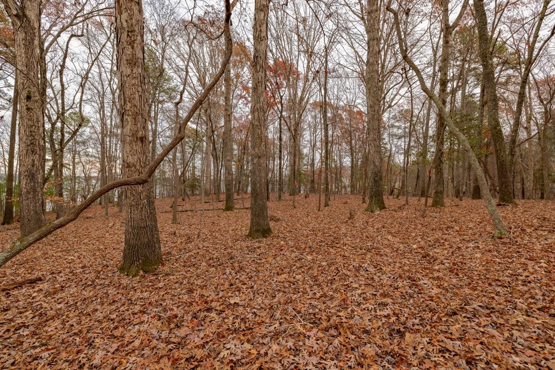 Lot 8 Serenity Point, Littleton, North Carolina, 28750, United States, ,Land,For Sale,Lot 8 Serenity Point,1659494