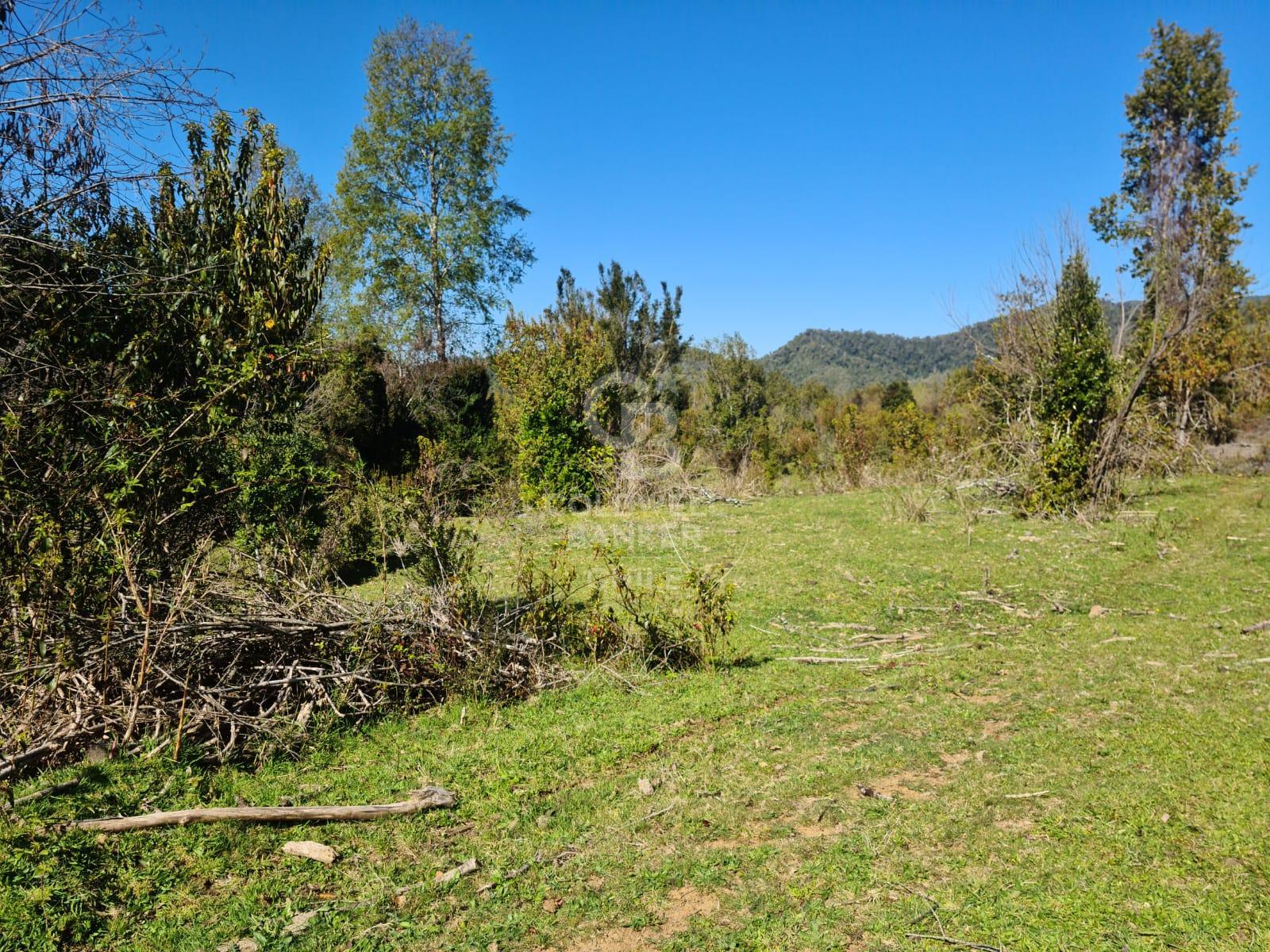 Fresia, Chile, ,Residential,For Sale,1913252