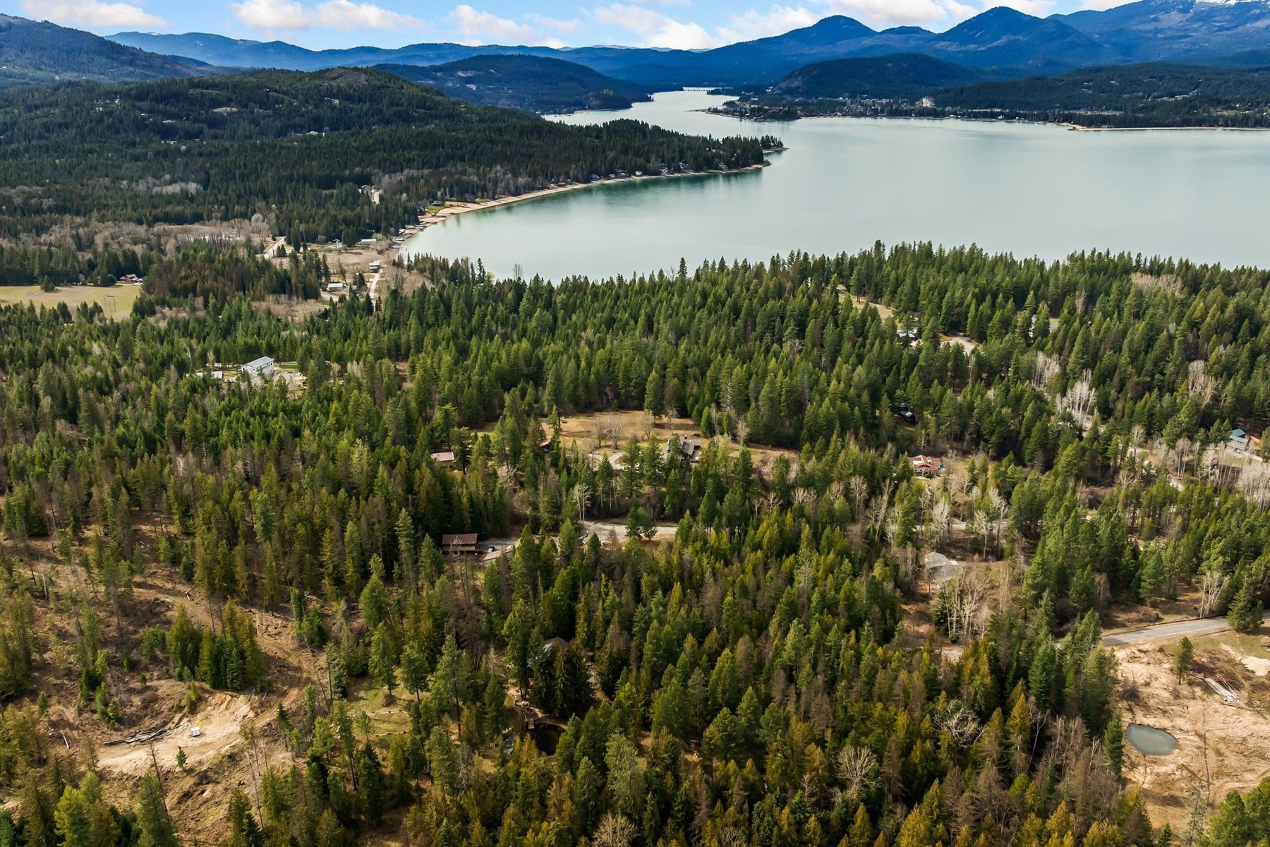  Tree Farm & Home on 6+ Acres - 物件實景