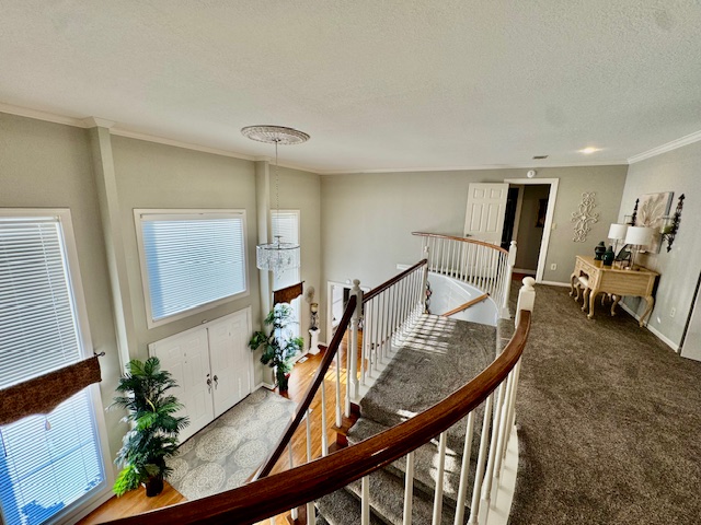 Paragould, Arkansas, 72450, United States, 5 Bedrooms Bedrooms, ,3 BathroomsBathrooms,Residential,For Sale,1955284