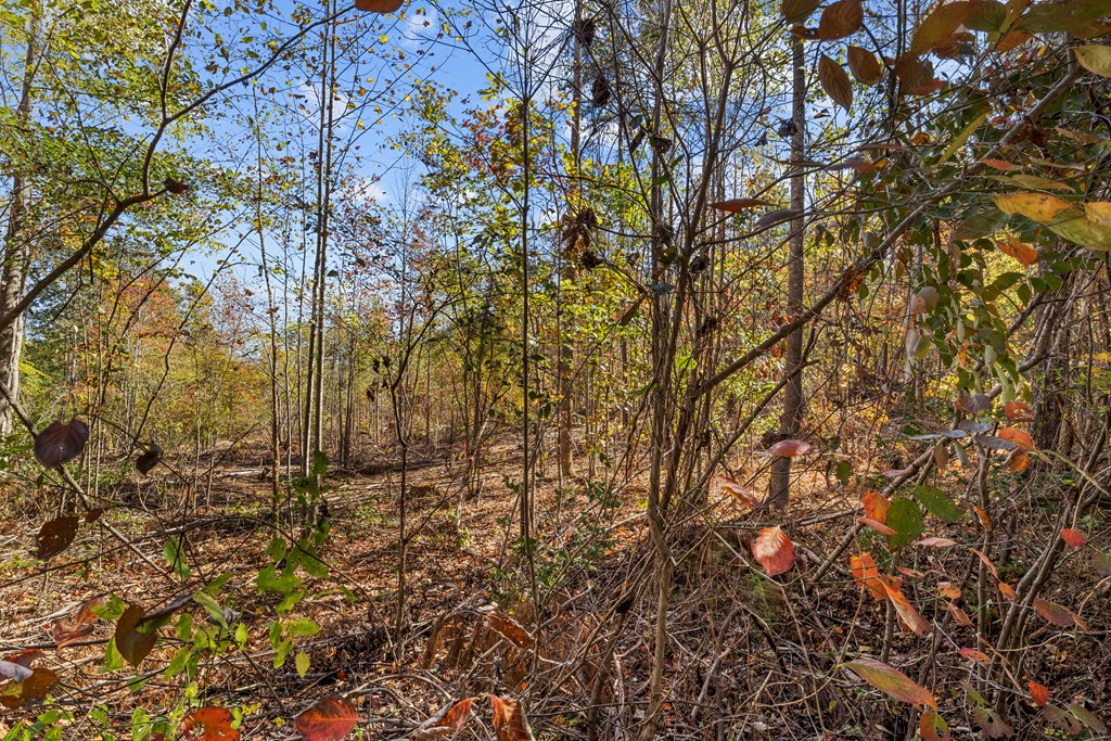 Rice, Virginia, 23966, United States, 3 Bedrooms Bedrooms, ,2 BathroomsBathrooms,Residential,For Sale,1982406