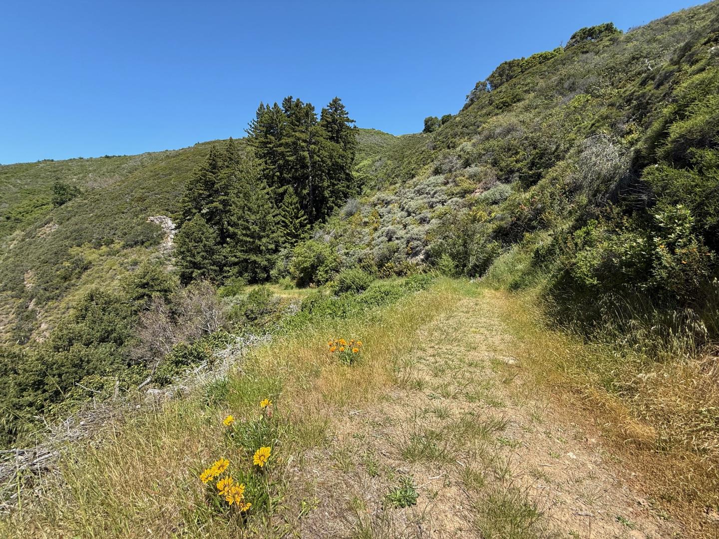 Big Sur, California, 93920, United States, 1 Bedroom Bedrooms, ,2 BathroomsBathrooms,Residential,For Sale,1876422