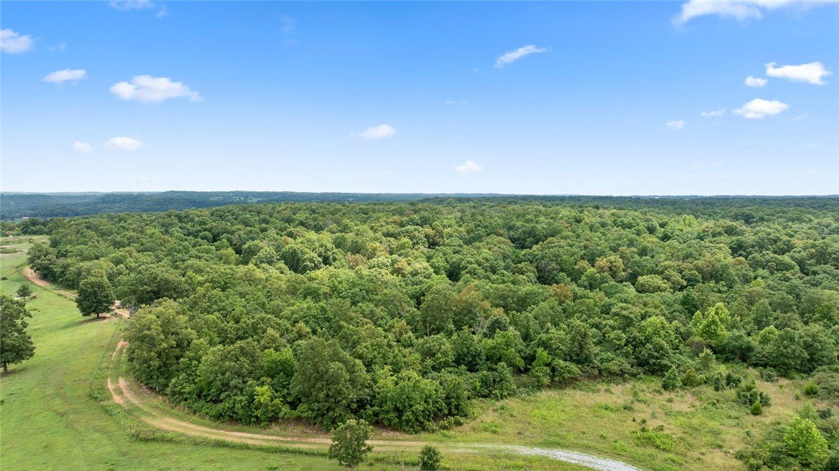 Noel, Missouri, 64854, United States, ,Land,For Sale,1785483