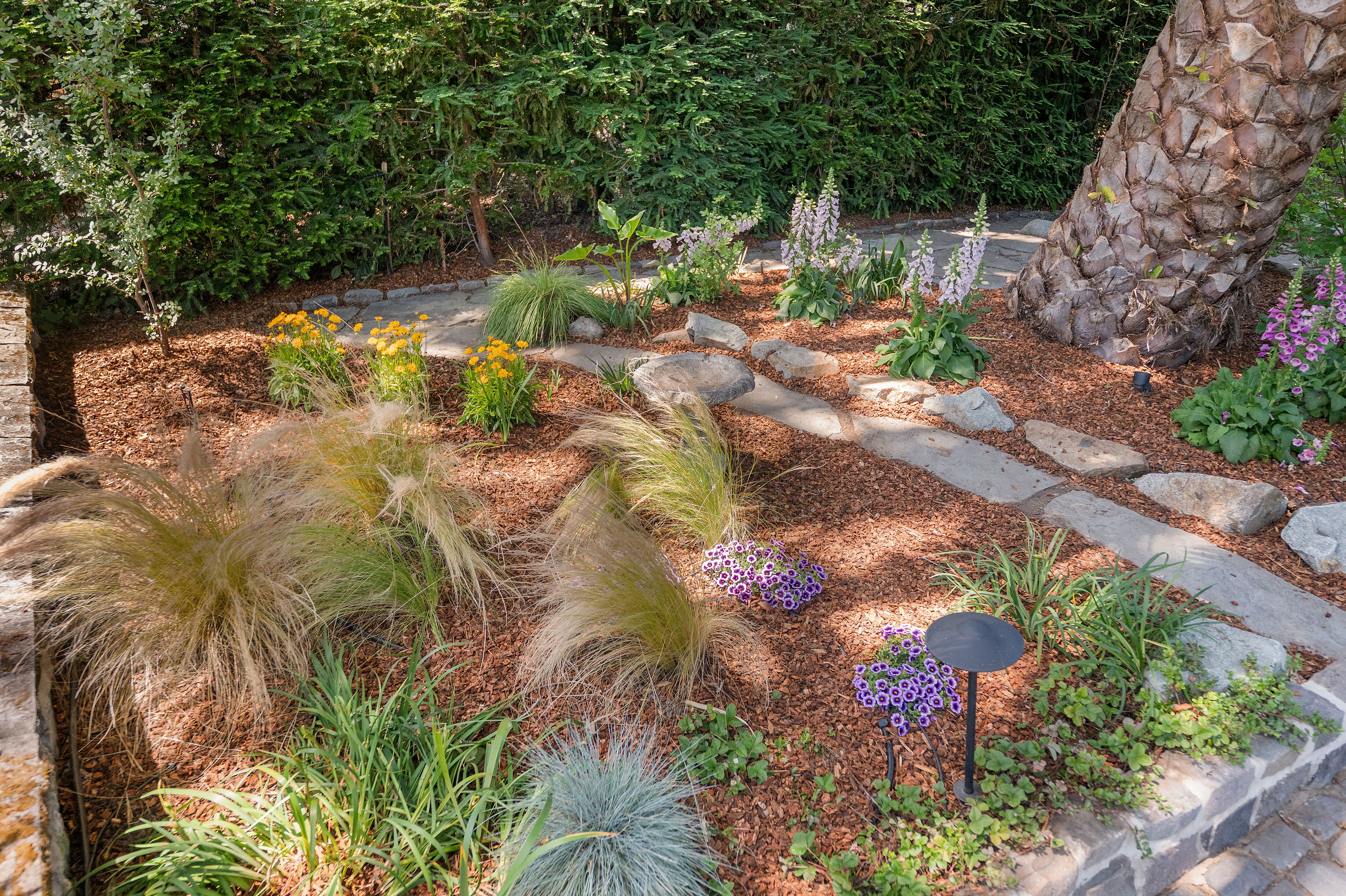  Remodeled San Anselmo Charmer - 物件實景