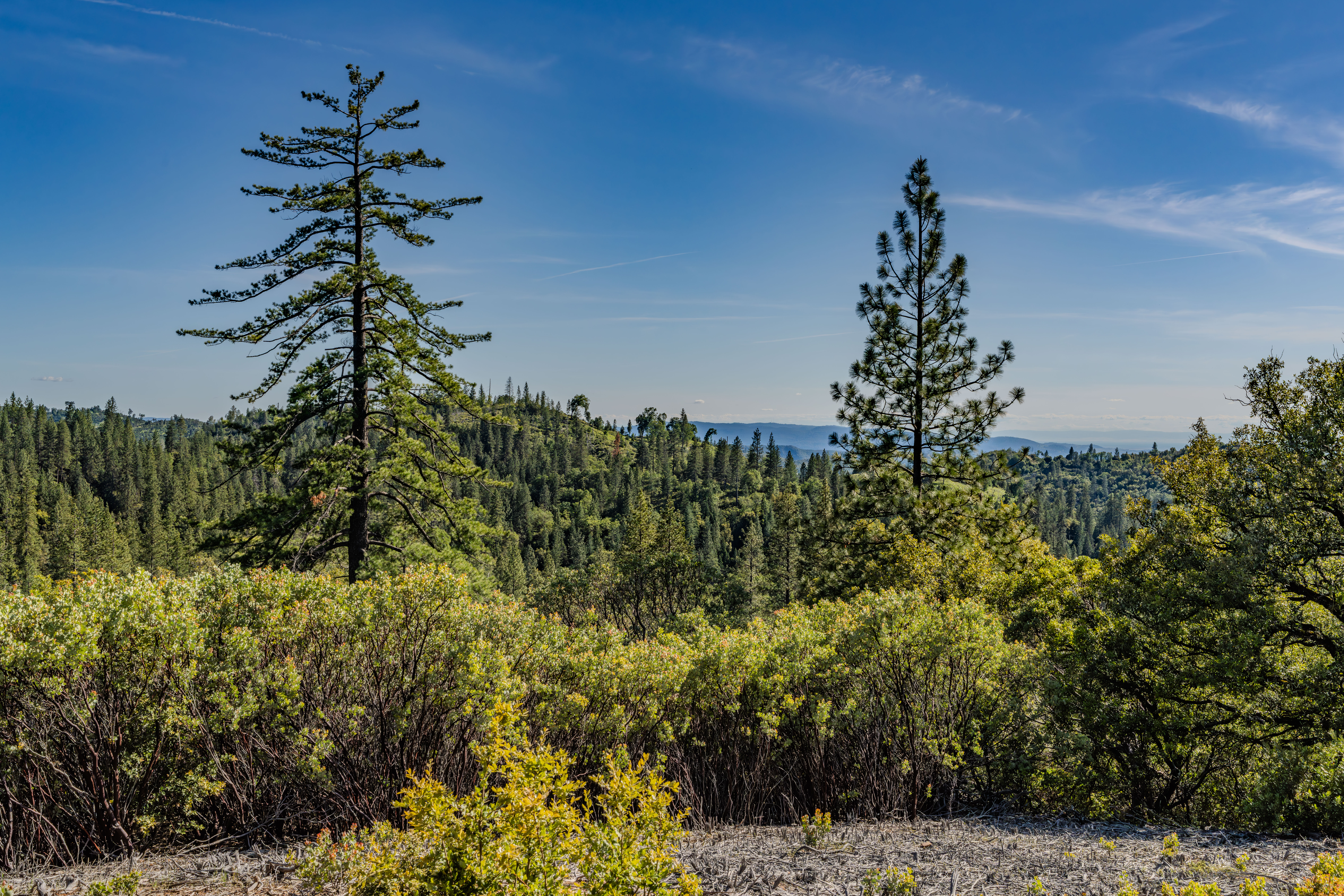  211 Fox Road, Glencoe, CA 95232 - 物件實景