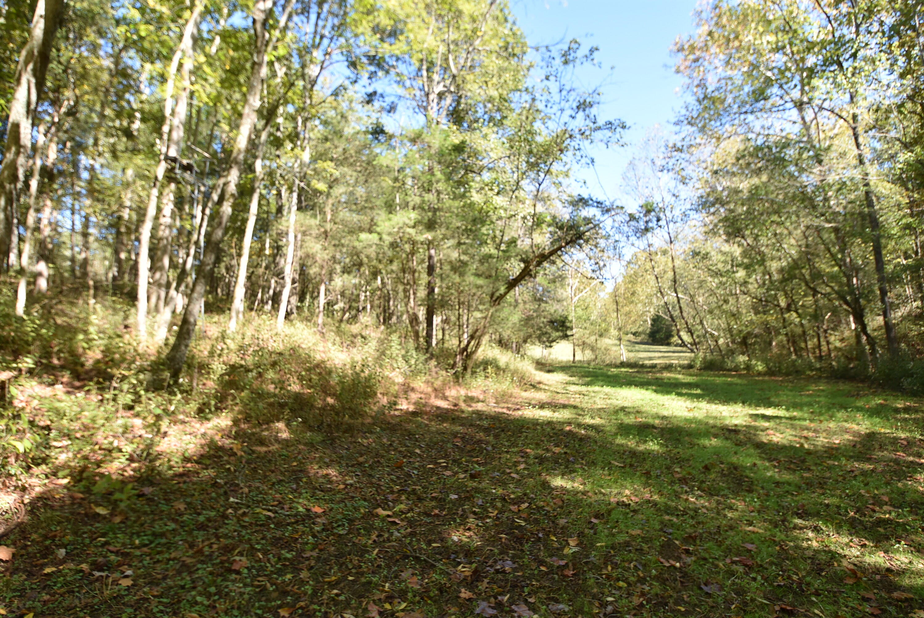 Willisburg, Kentucky, 40078, United States, 4 Bedrooms Bedrooms, ,1 BathroomBathrooms,Residential,For Sale,1962831