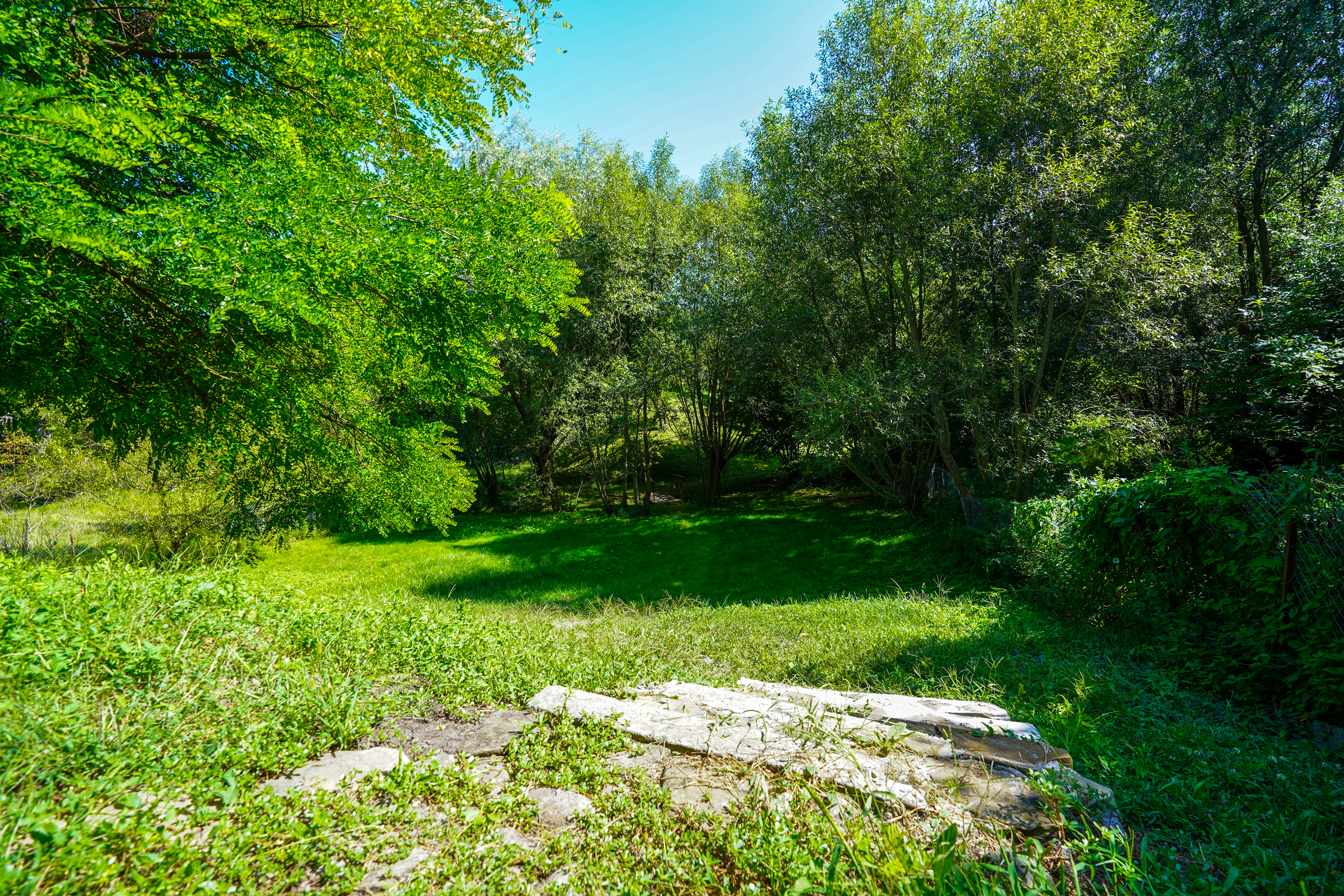  Restored Authentic Saxon House in Viscri, Between Heritage and Nature - 物件實景