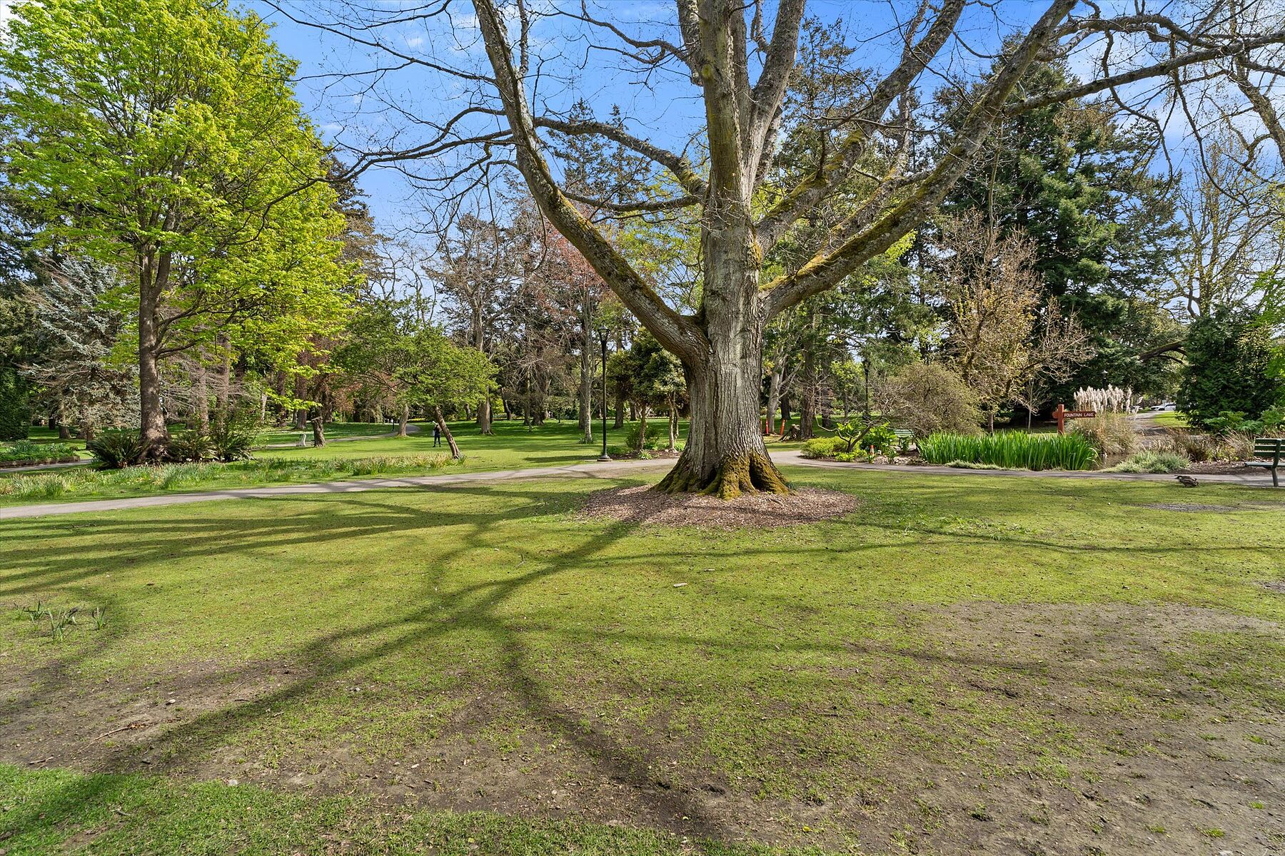  Bickerton Court - 物件實景