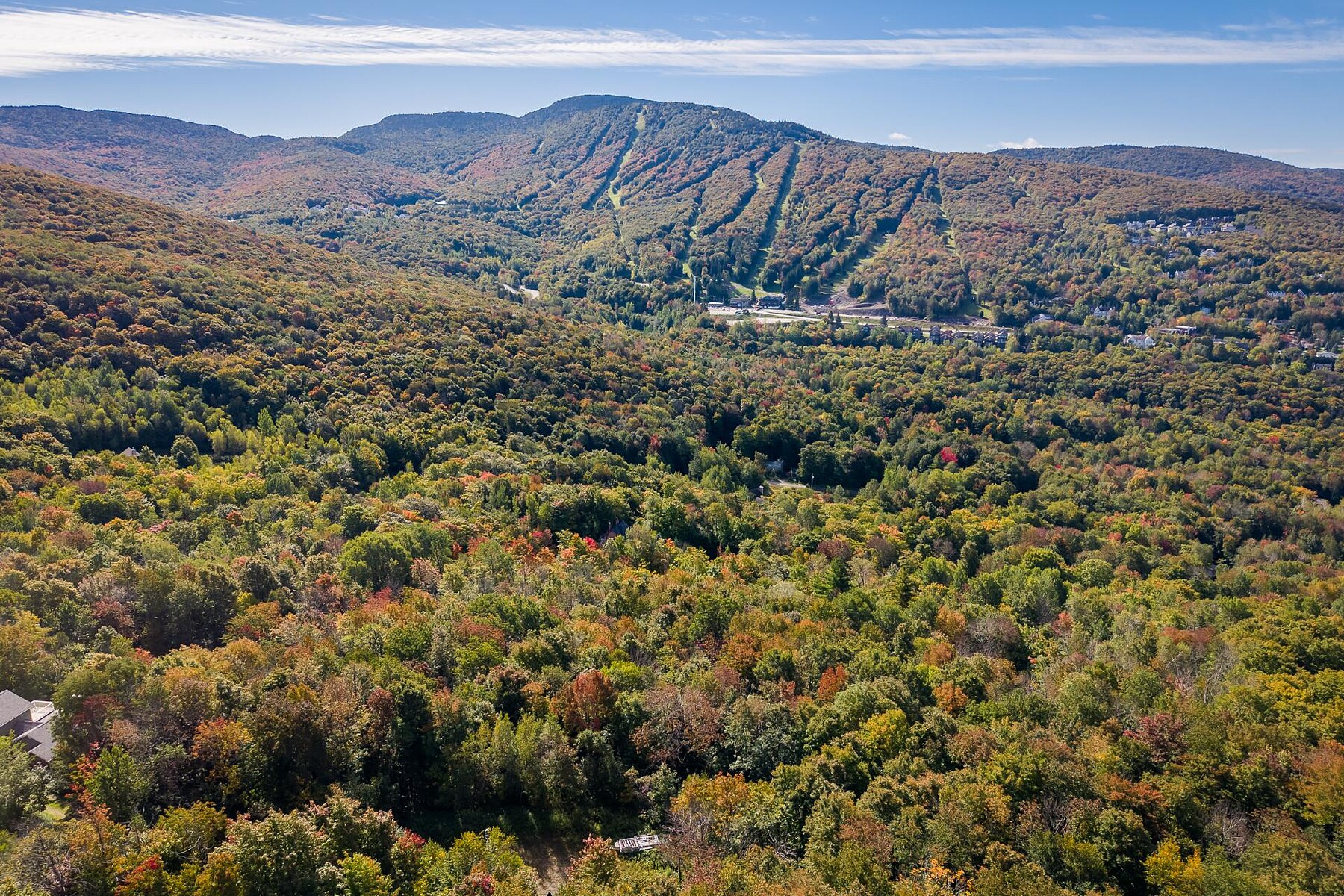  Sutton, Eastern Townships - 物件實景