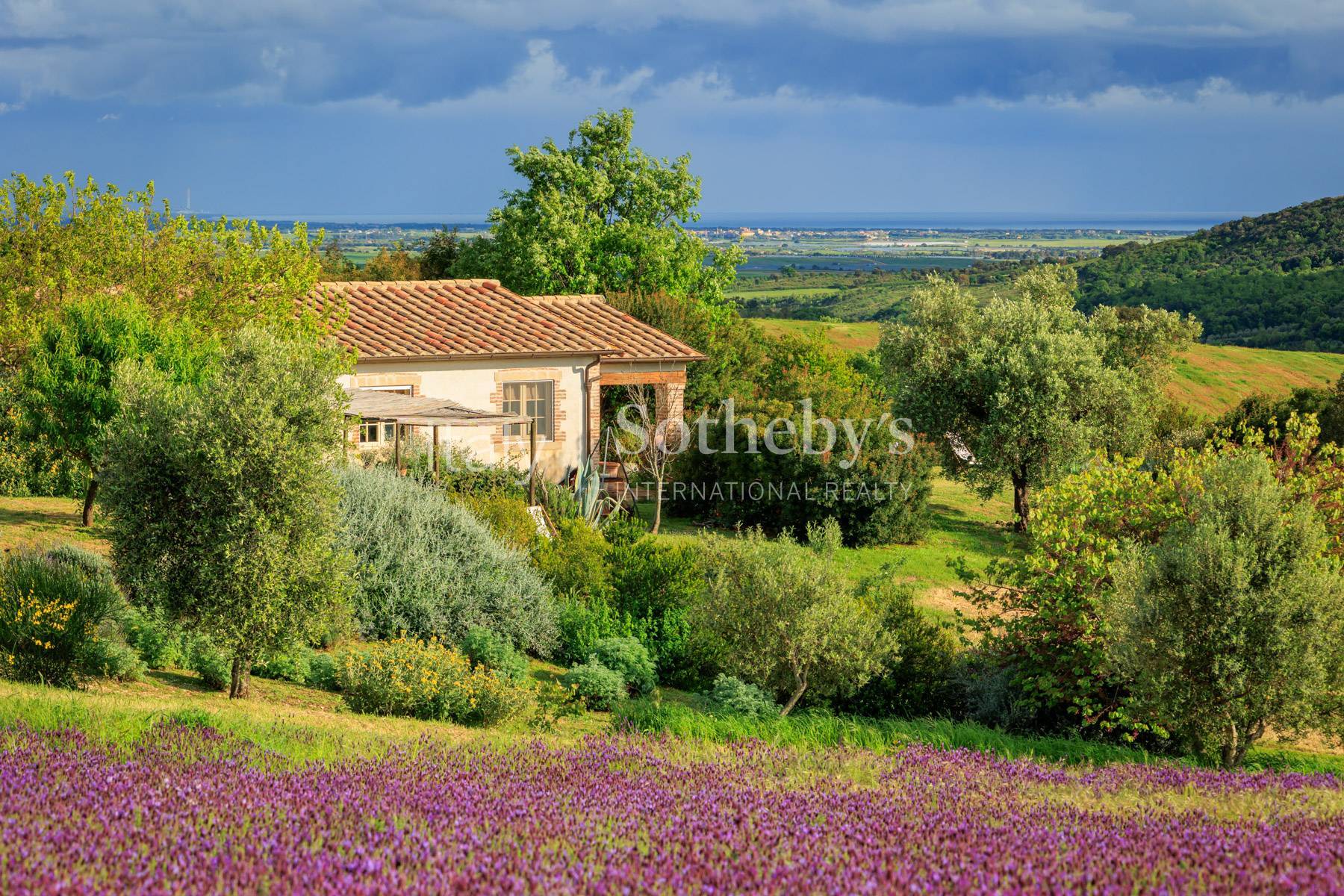  Magnificent estate close to Capalbio - 物件實景