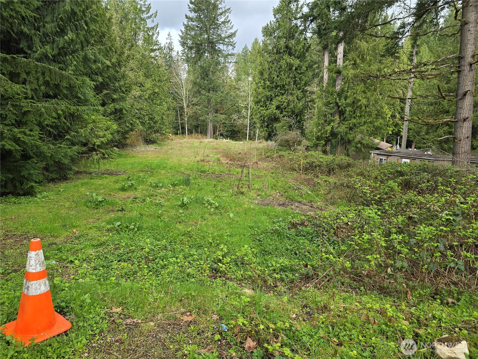 Redmond, Washington, 98005, United States, ,Land,For Sale,1768459