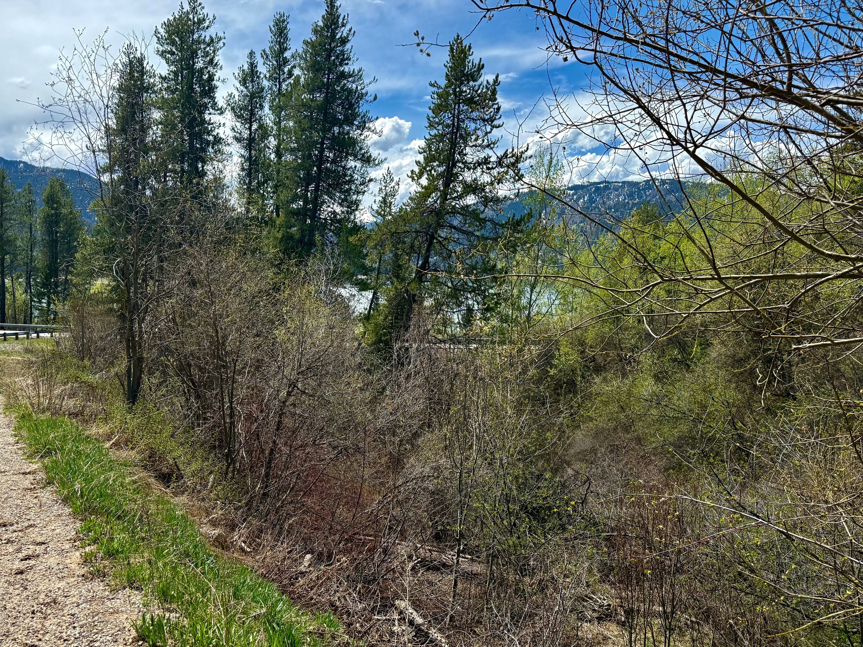  Property Overlooking the Palisades Reservoir - 物件實景