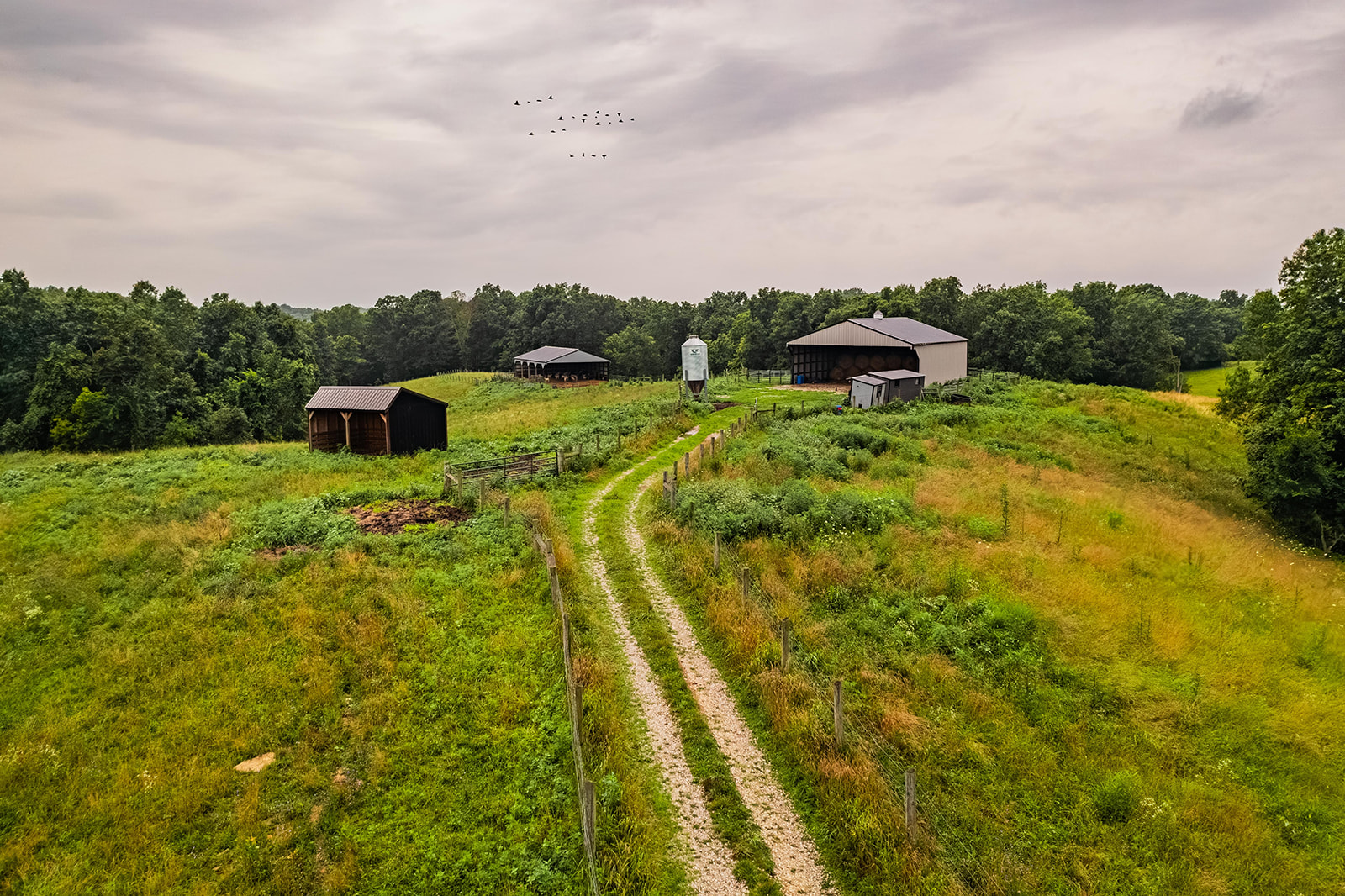 Lawrenceburg, Kentucky, 40342, United States, ,Residential,For Sale,1930802