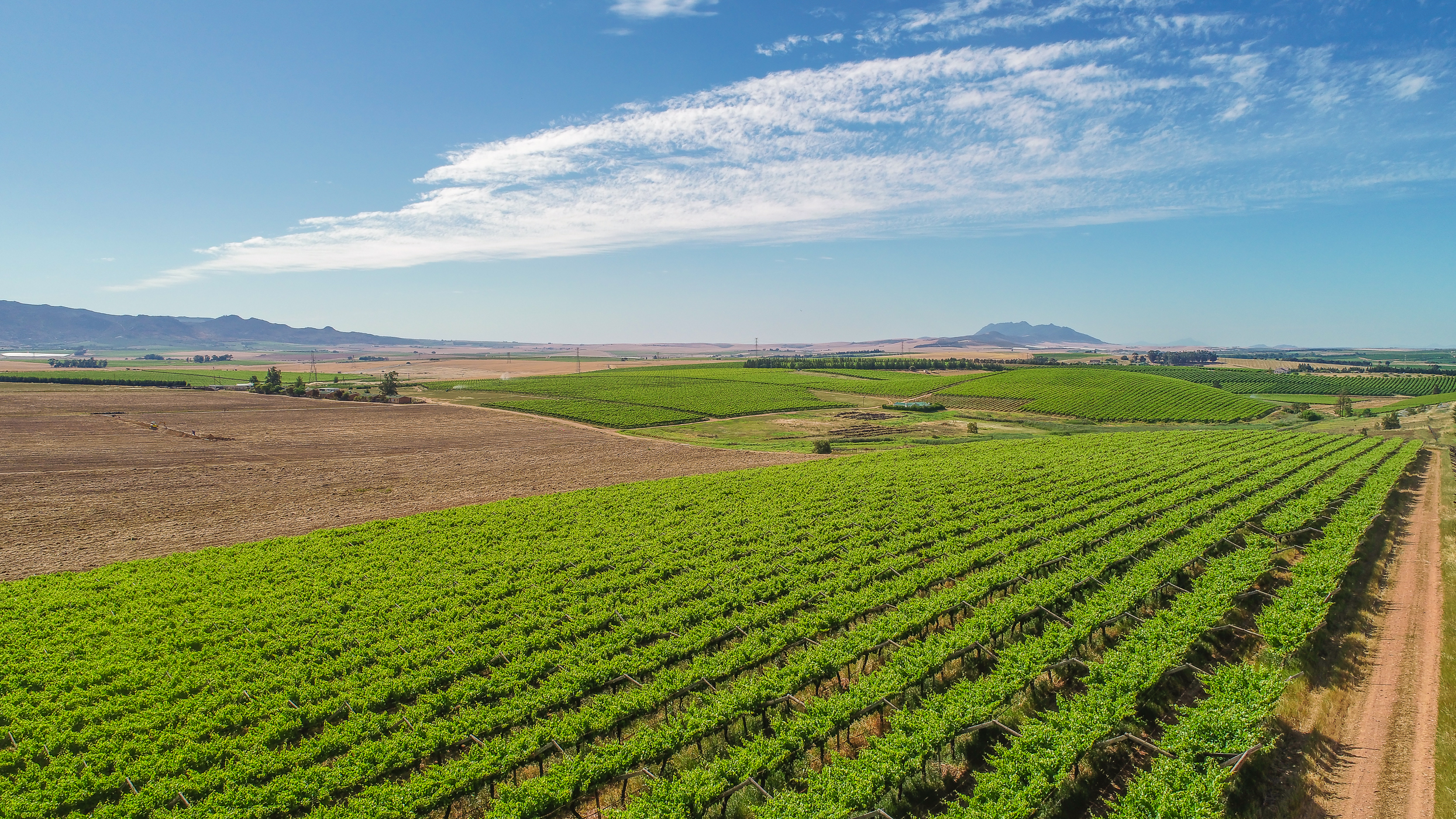  Wellington Export Farm - 物件實景