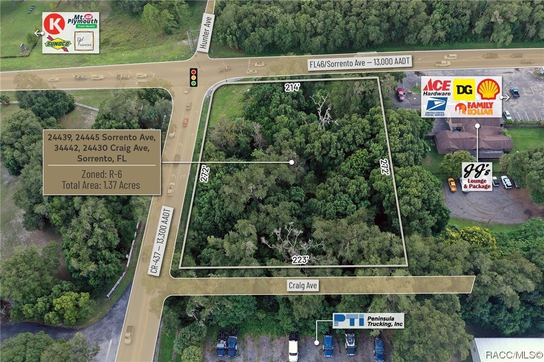 24439 Sorrento Avenue, Mount Dora, Florida, 32776, United States, ,Residential,For Sale,24439 Sorrento Avenue,1348352