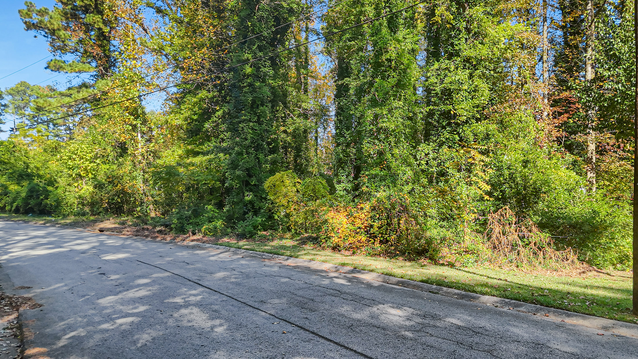  Ideal Lot for Custom Home Surrounded by Mature Trees and Lush Landscaping - 物件實景