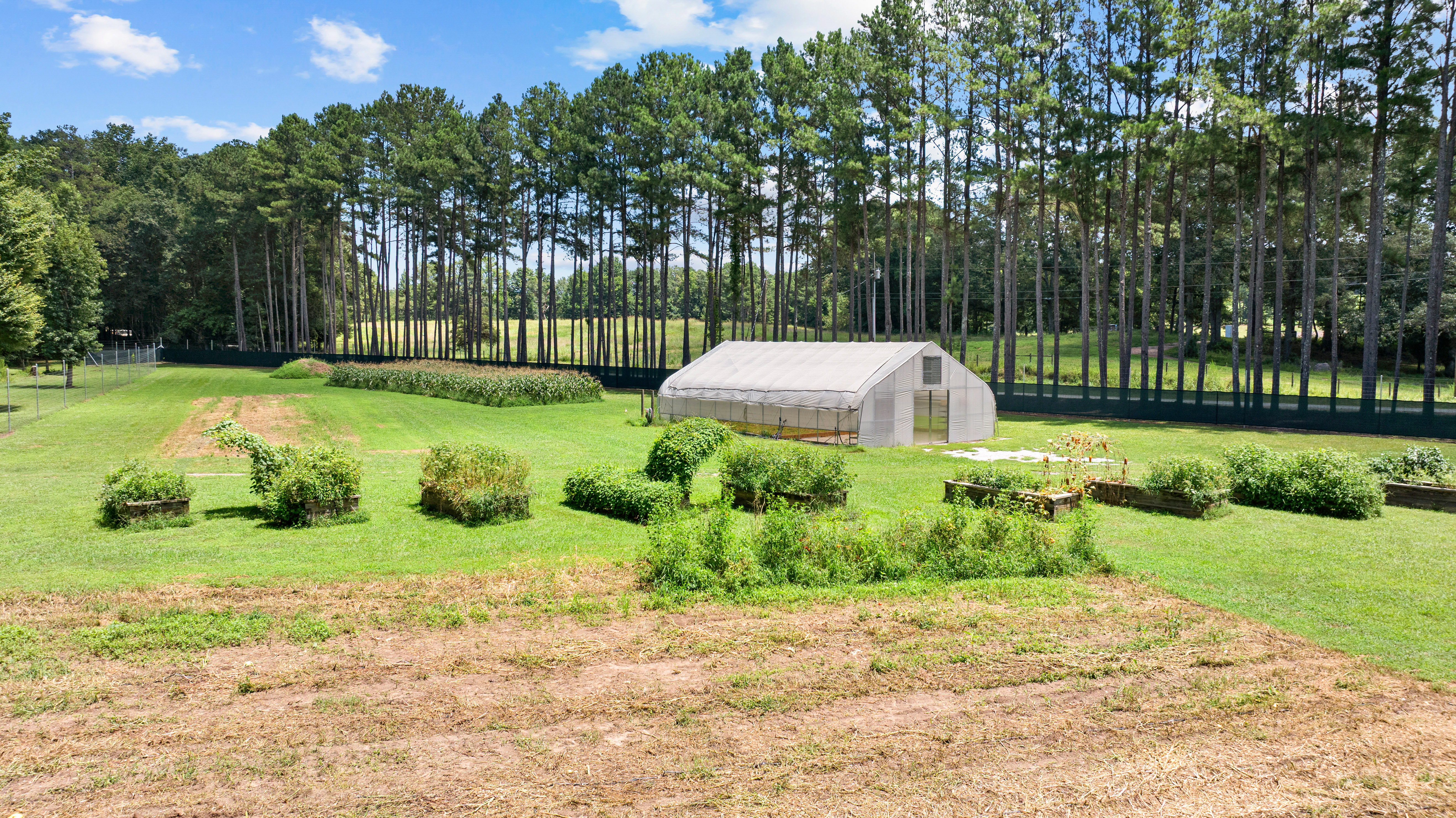  52 +/- Acres of Working Land and Quiet Woods - 物件實景