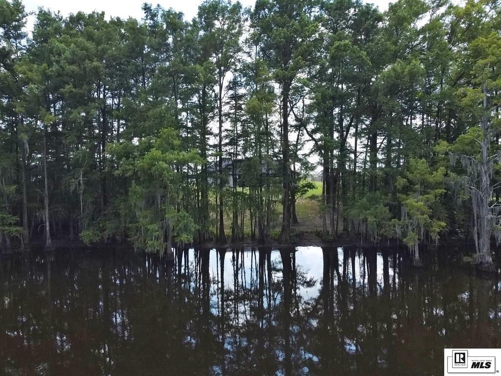 Monroe, Louisiana, 71203, United States, 4 Bedrooms Bedrooms, ,3 BathroomsBathrooms,Residential,For Sale,1906414