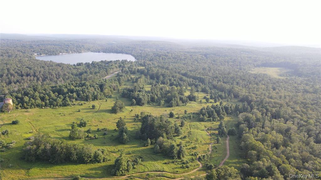 Monticello, New York, 12701, United States, ,Residential,For Sale,1910710