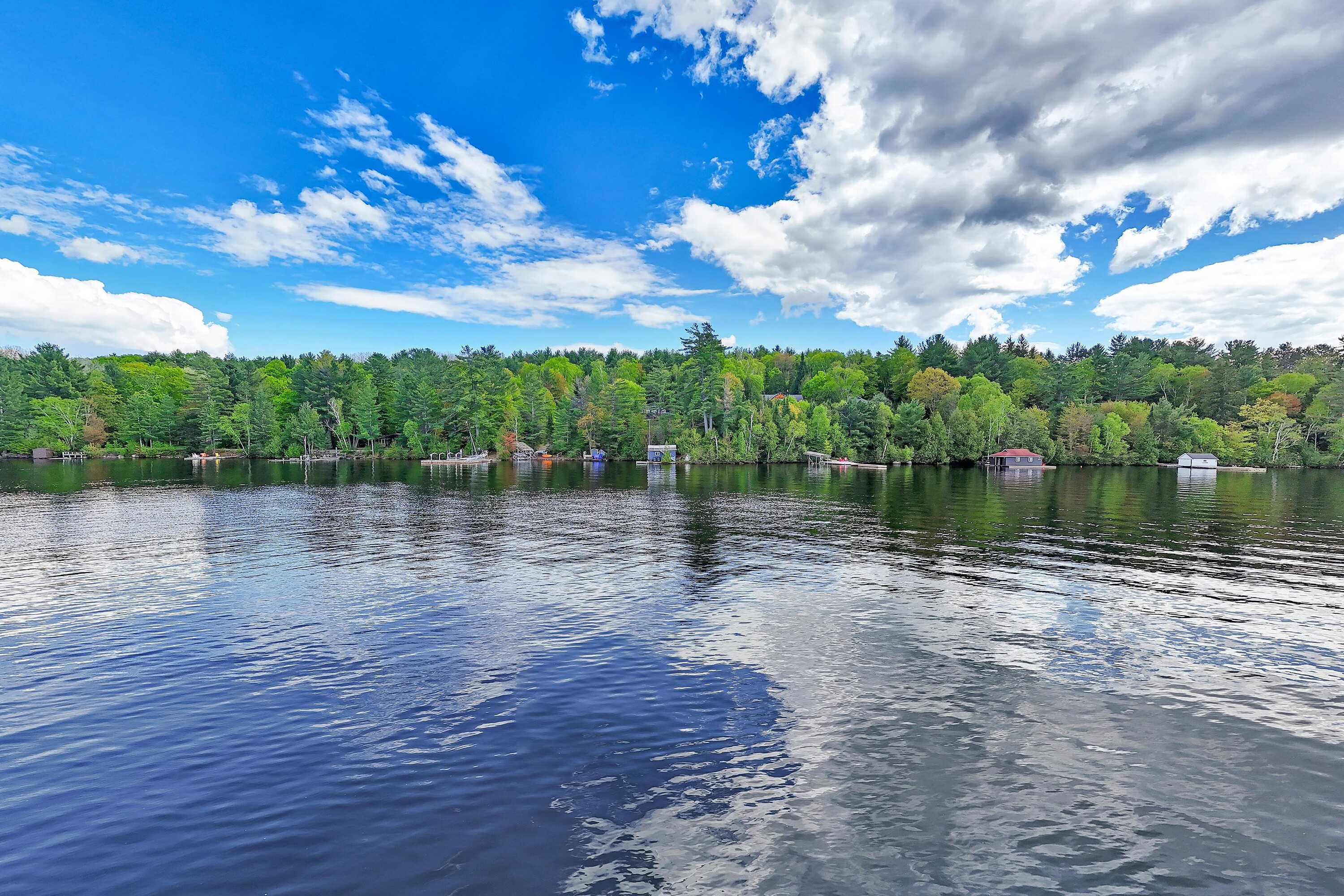  Coveted Area of Lake of Bays - 物件實景