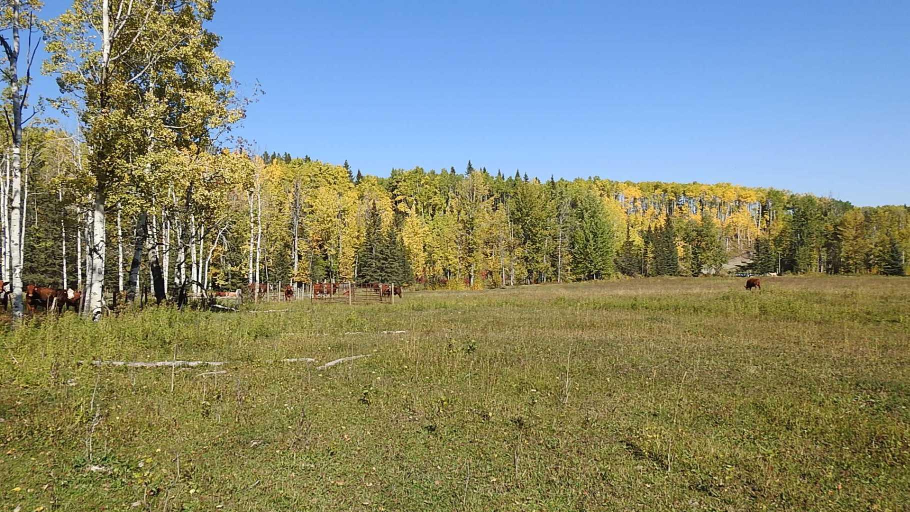 RURAL FOOTHILLS COUNTY, Alberta, T0L 1K0, CA, ,Residential,For Sale,1836944