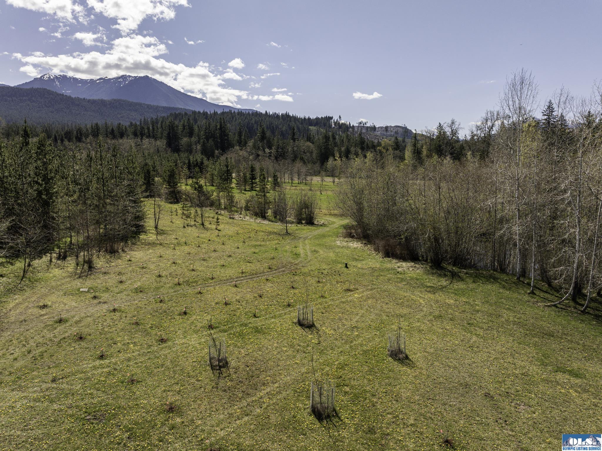 Sequim, Washington, 98382, United States, ,Land,For Sale,1787569