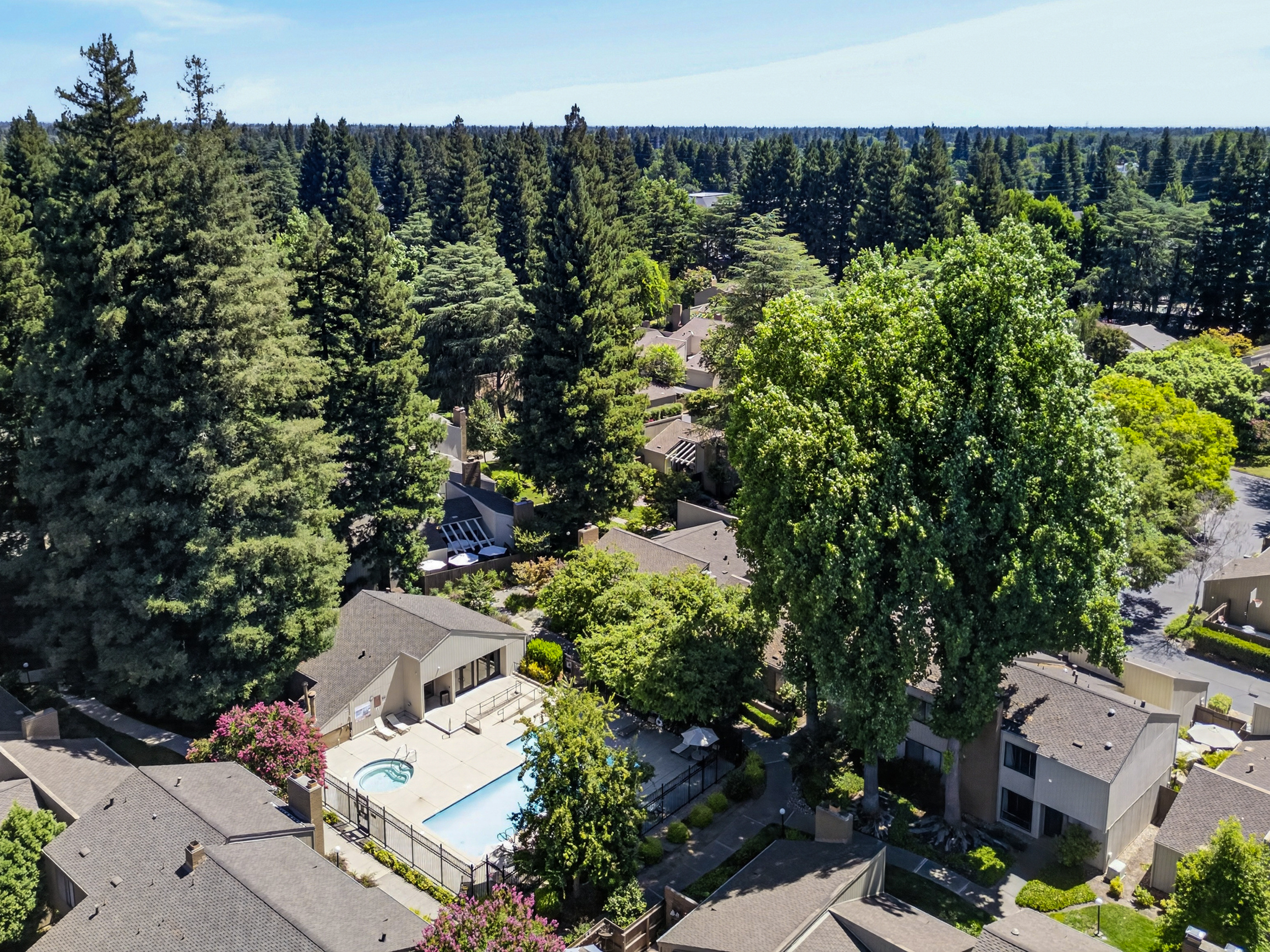  1427 Commons Drive, Sacramento, CA 95825 - 物件實景