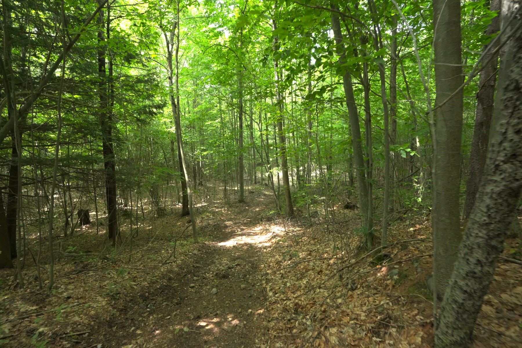  Townline Road - 物件實景
