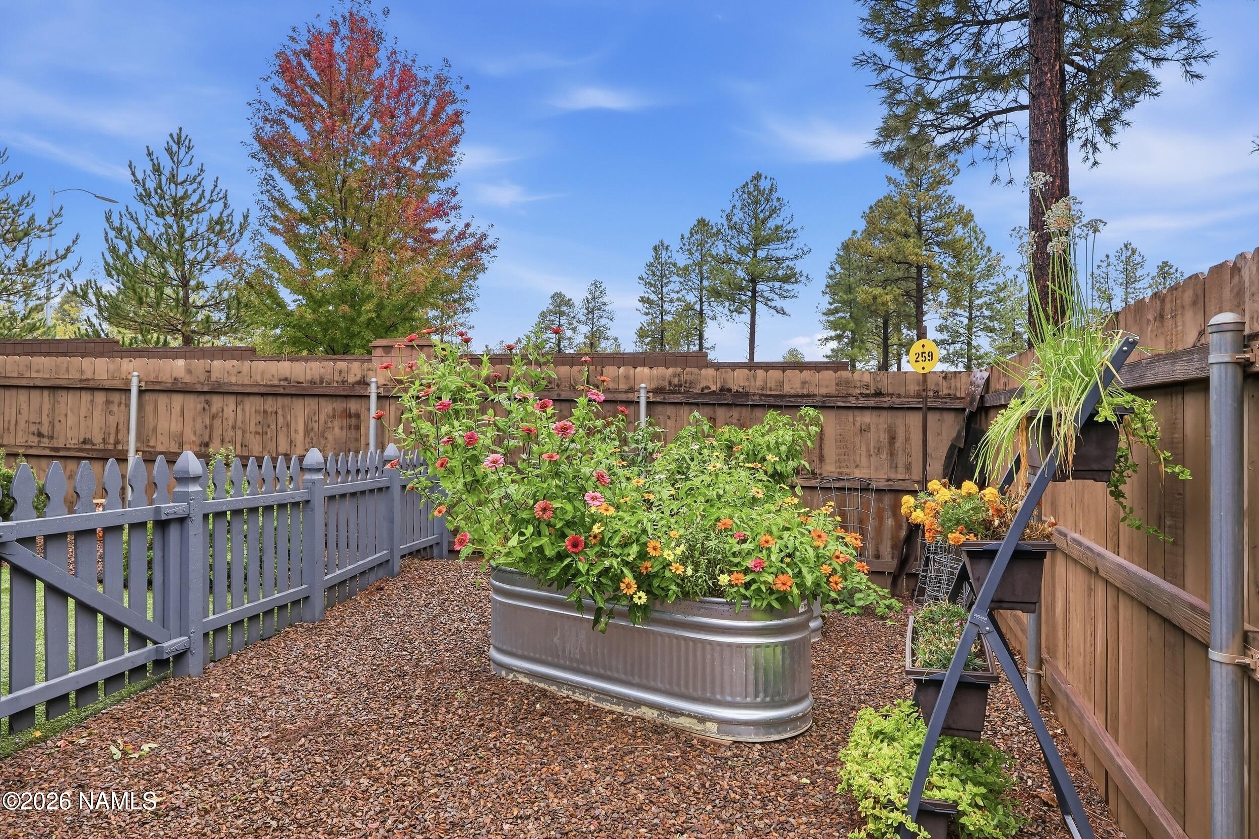  2923 S Pepita Drive, Flagstaff, AZ, 86001 - 物件實景