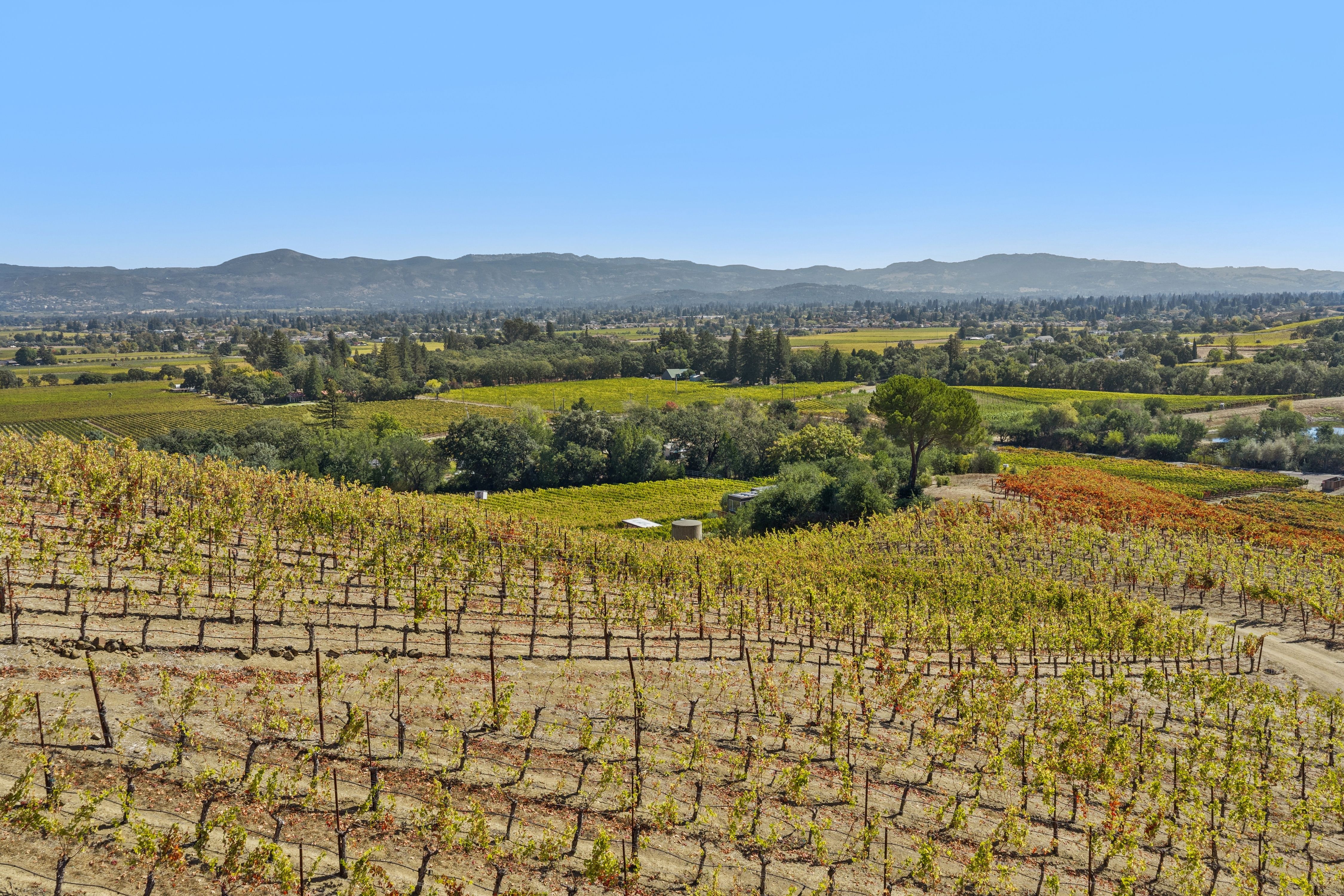  Exceptional Napa Valley Legacy Property - 物件實景
