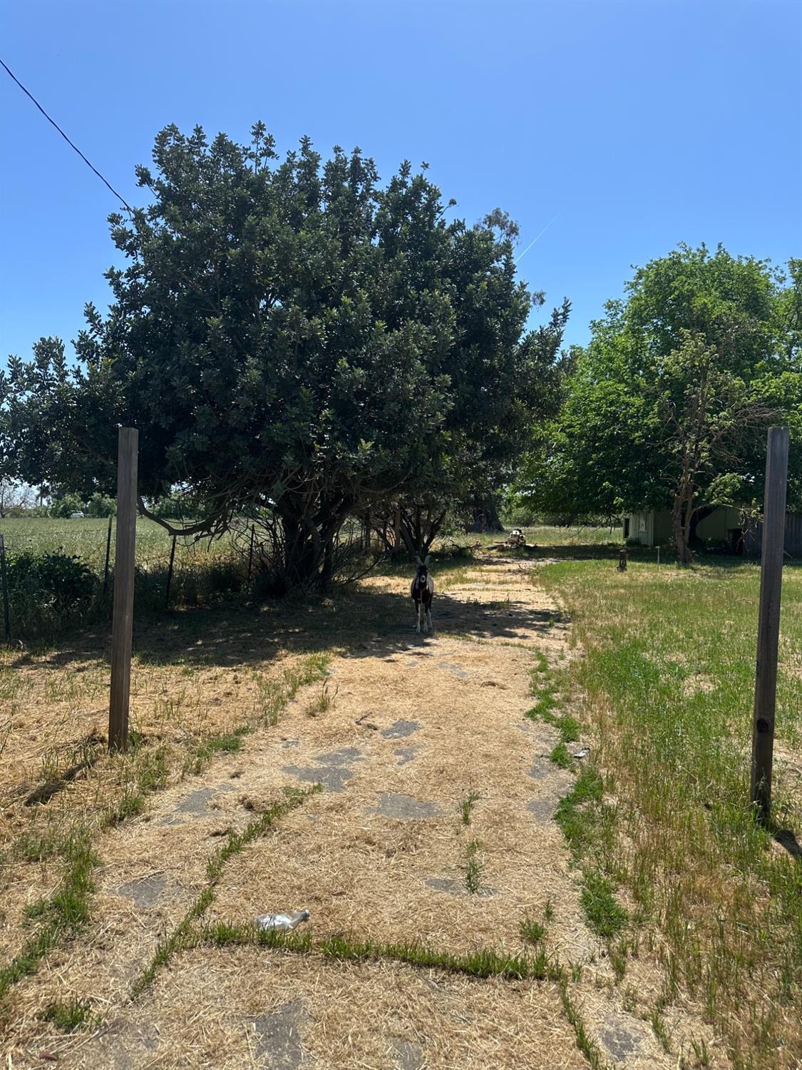 Sacramento, California, 95632, United States, 3 Bedrooms Bedrooms, ,1 BathroomBathrooms,Residential,For Sale,1783096