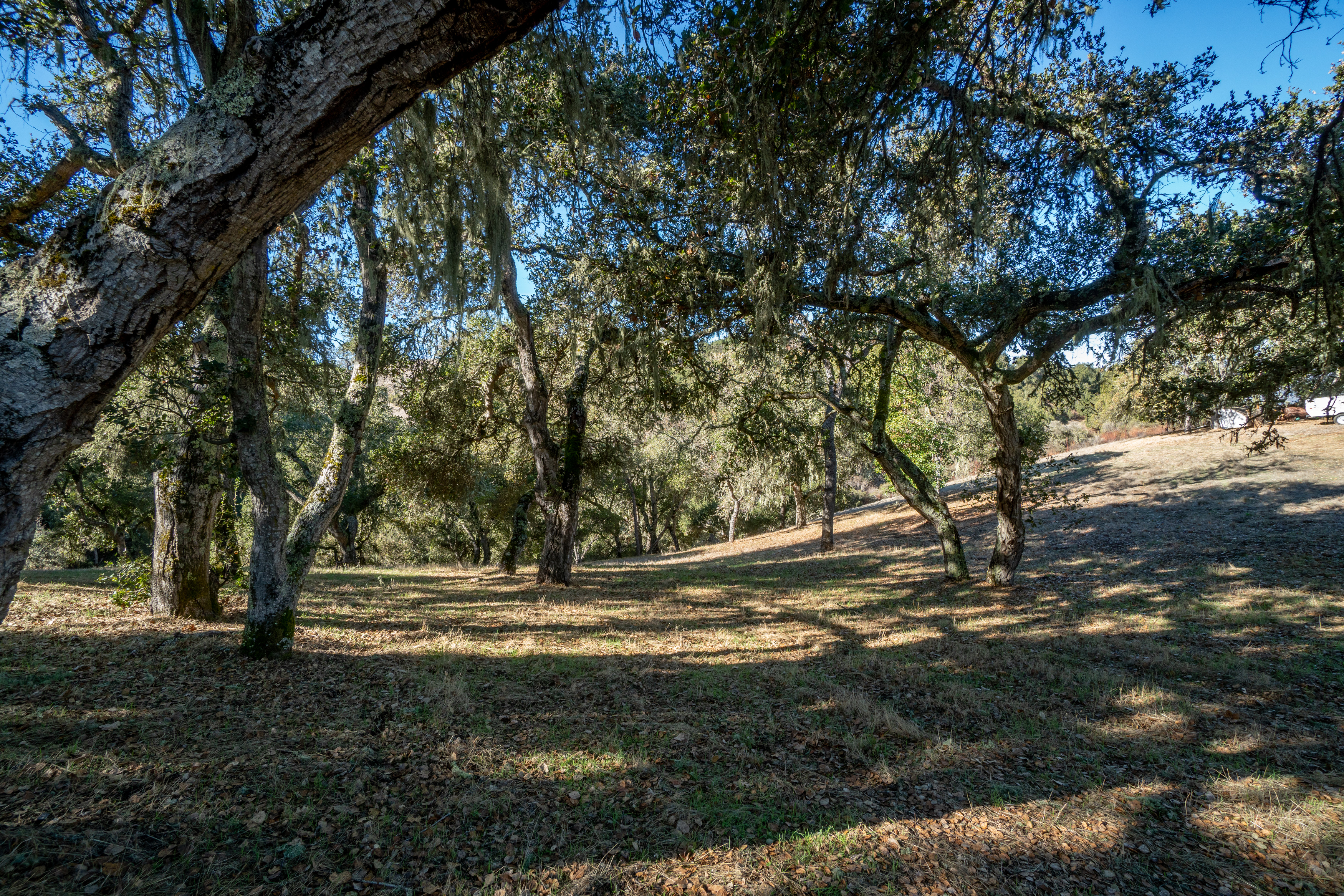  17114 Cachagua Road - 物件實景