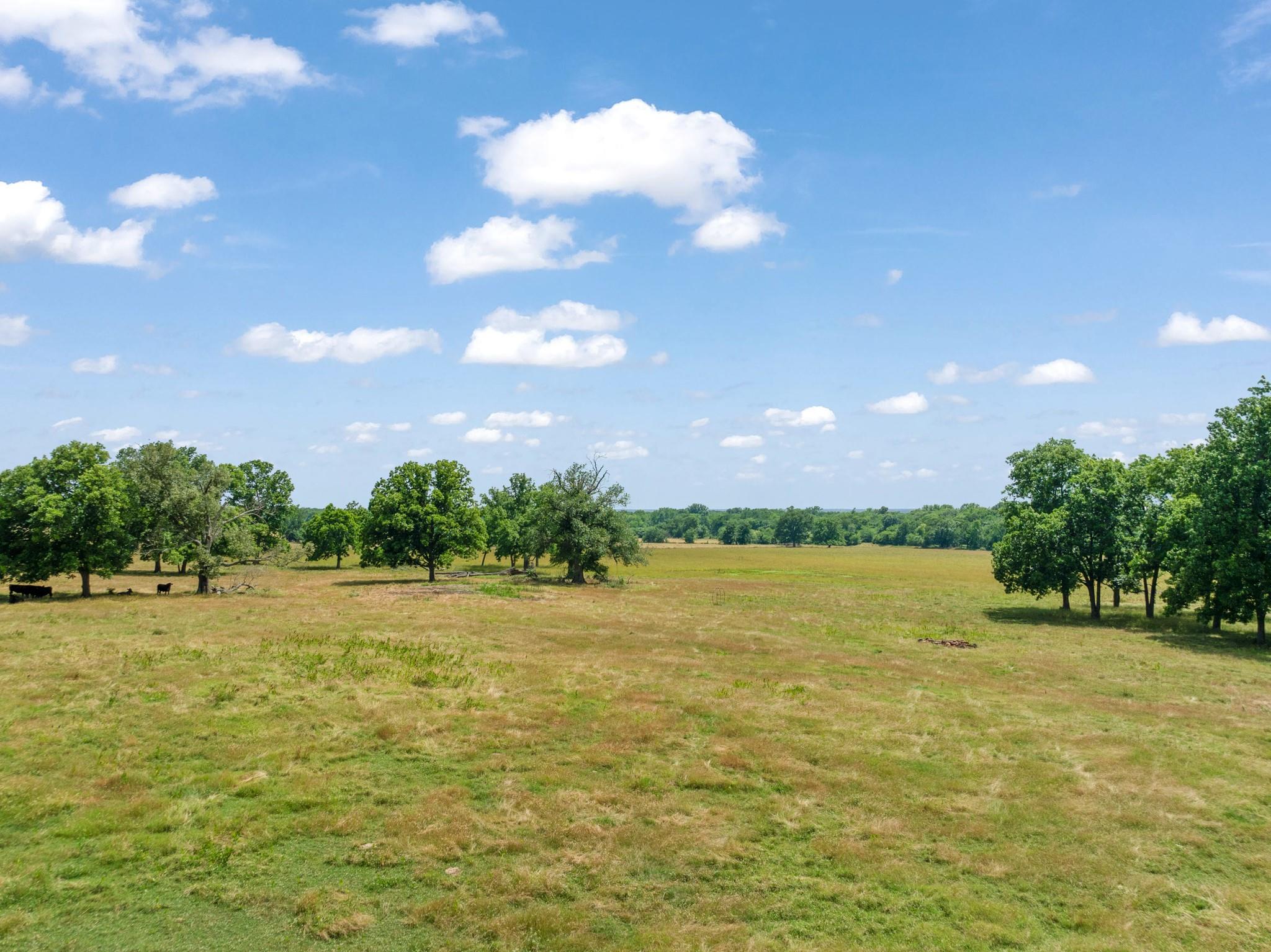 Pattonville, Texas, 75468, United States, ,Land,For Sale,1990194