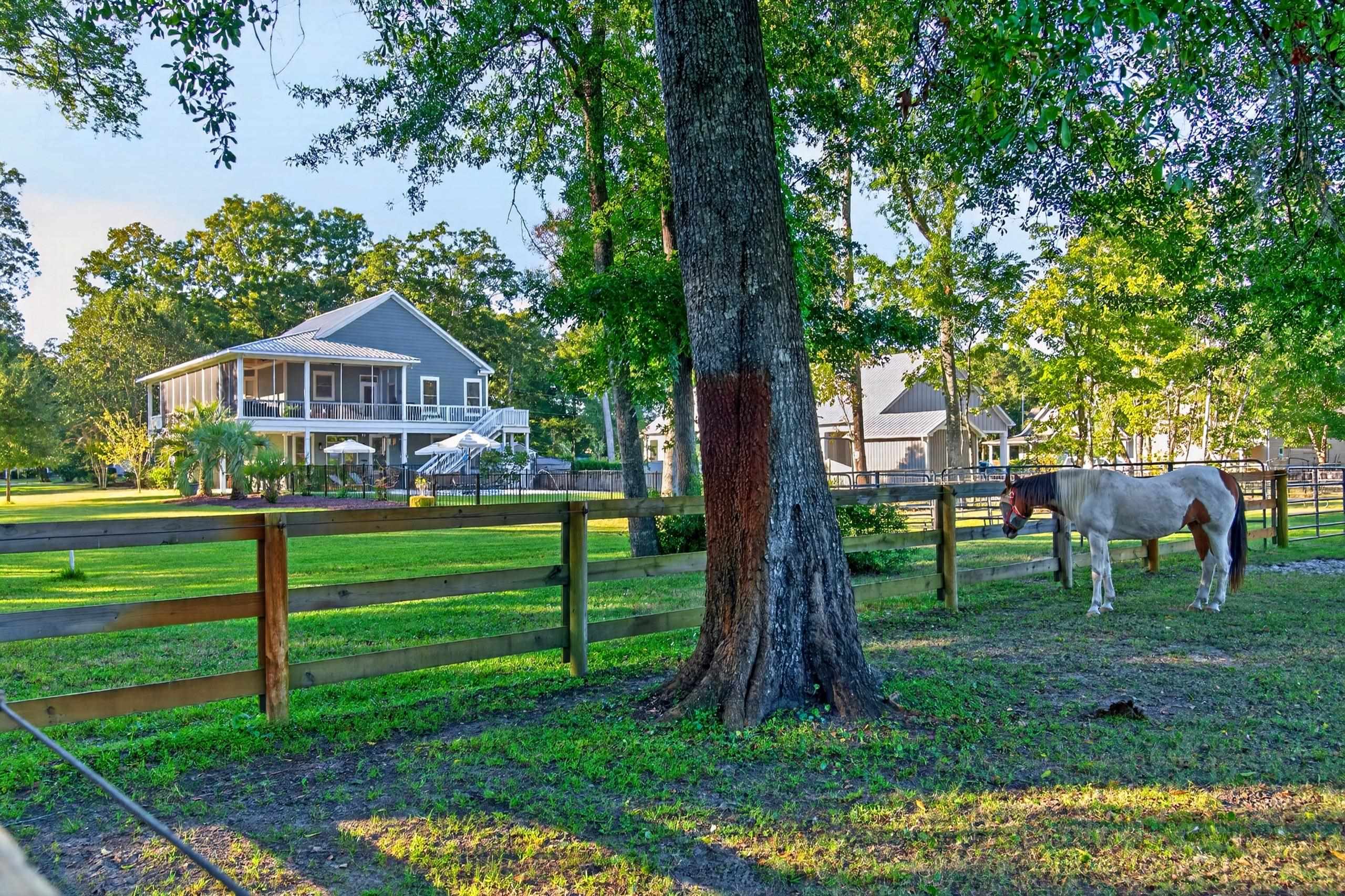  5299 Berkeley Court  Equestrian Property in Murrells Inlet, SC - 物件實景