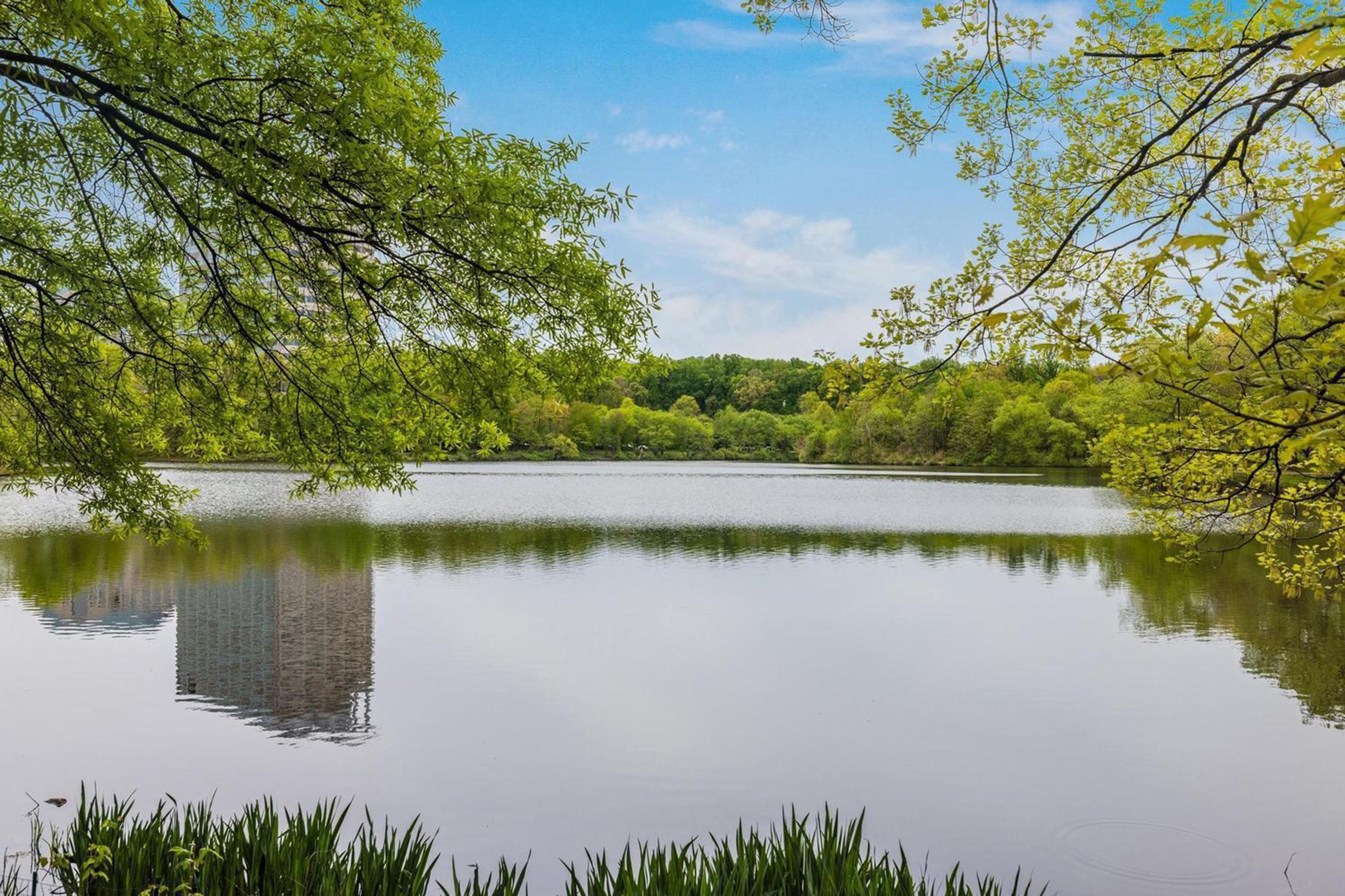  2922 Bridgehampton Court, Falls Church, VA 22042 - 物件實景